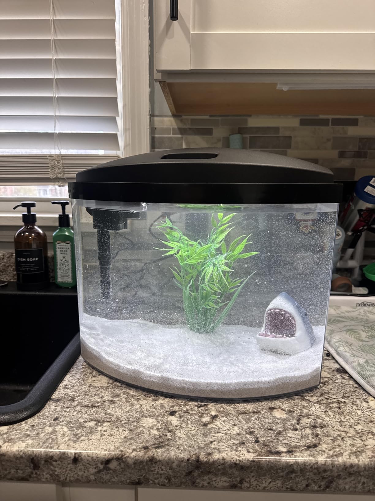 Aqueon LED MiniBow Small Aquarium Fish Tank Kit with SmartClean Technology, Black, 2.5 Gallon customer photo 2