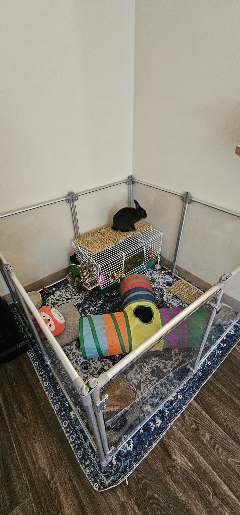 Hanging Apple Wood Rabbit Hay Feeder - Guinea Pig Grass Holder with 2 Hooks Biting Resistant Small Animals Chew Toy, Feeding Hay Manager Shelf for Chinchilla Bunny Hamster Gerbil Holiday Presents customer photo 2