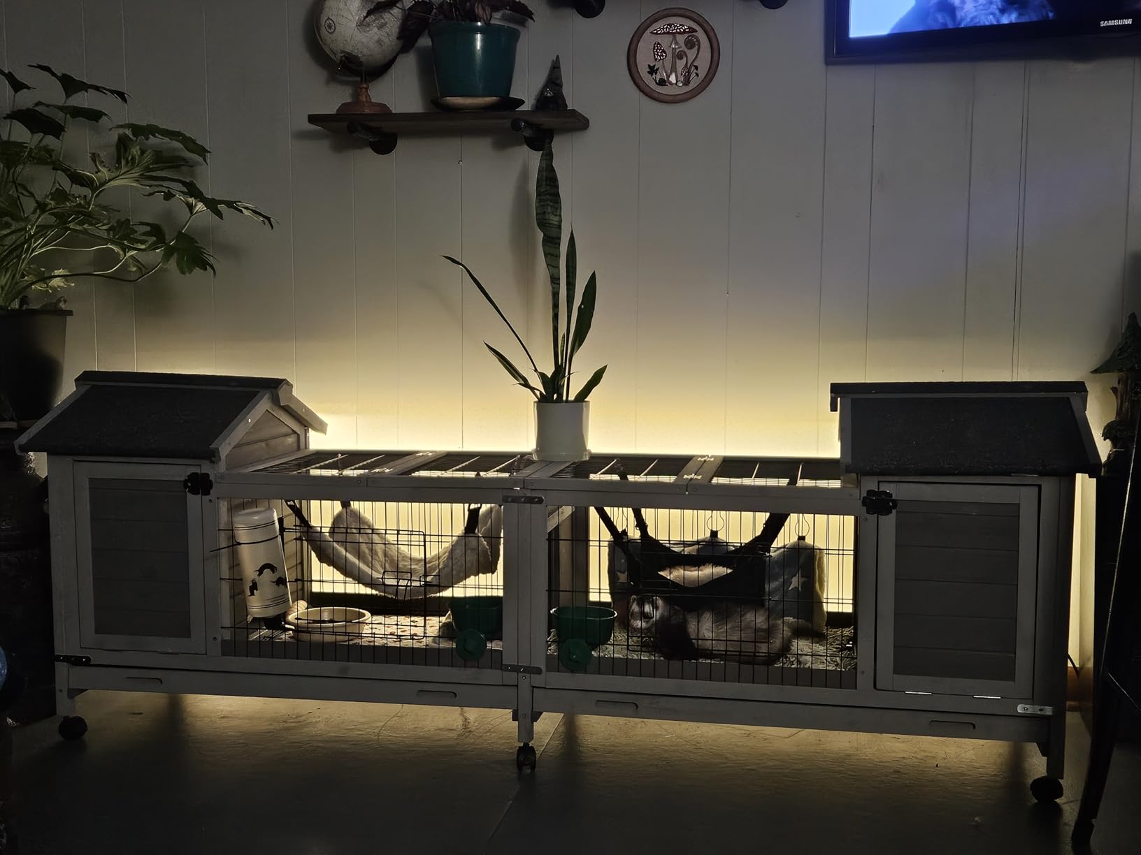 Aivituvin Rabbit Hutch Indoor Bunny Cage Outdoor House with Deeper Leakproof Plastic Tray (Grey02-Two Sets) customer photo 2