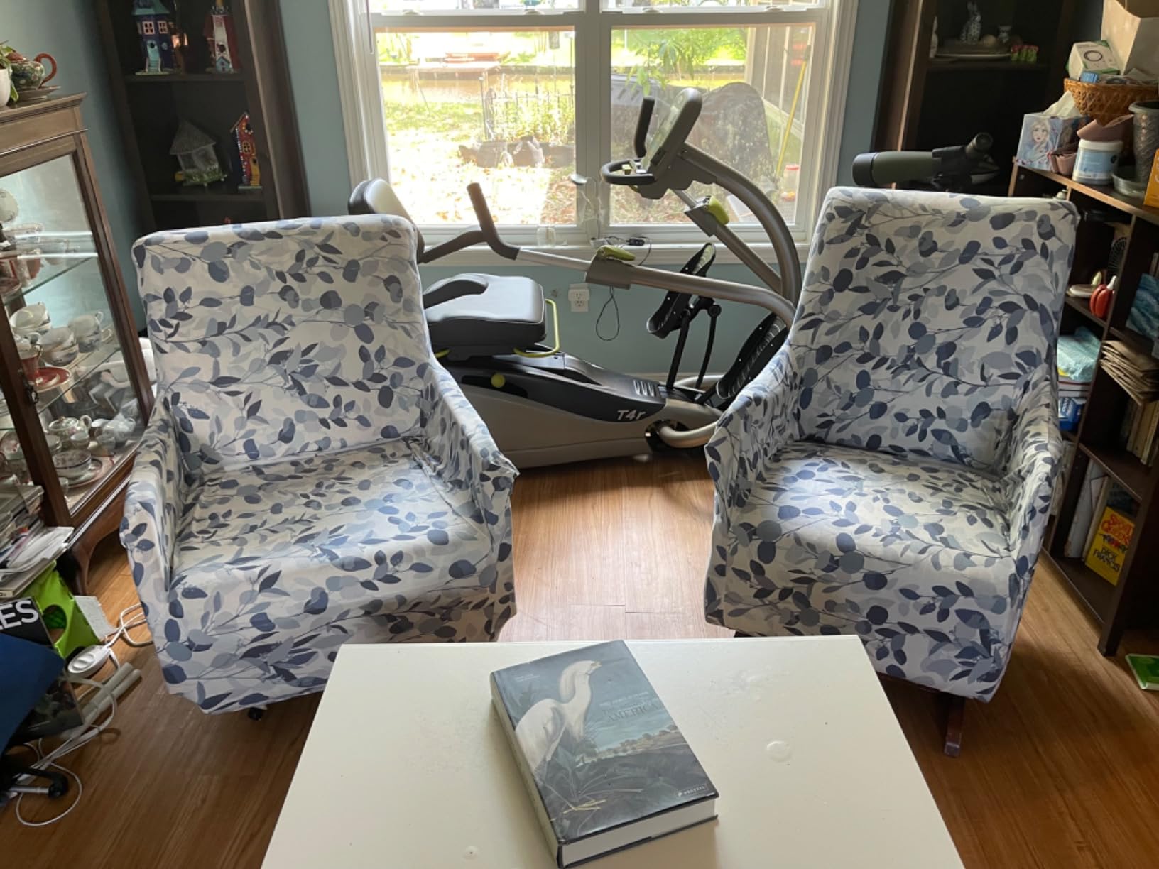 NuStep T4r Recumbent Cross Trainer Stepper, Low-Impact Full-Body Exercise, Adjustable Arms & Legs, 360-Degree Swivel Seat, Engaging Programs, App-Compatible, Gray/Green customer photo 1