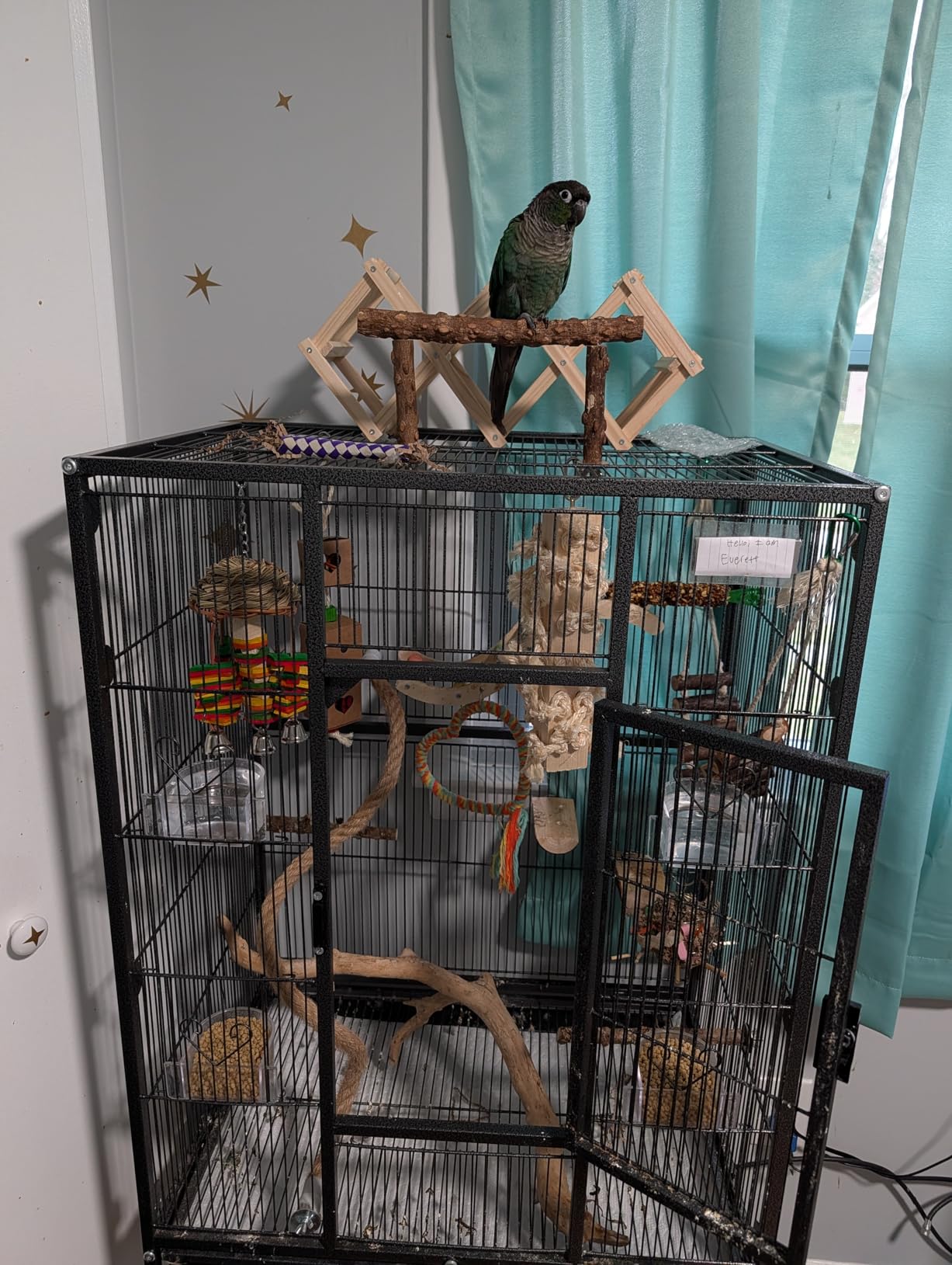 VIVOHOME 54 Inch Wrought Iron Large Bird Flight Cage with Rolling Stand for Parakeets Canaries Cockatiels Lovebirds Conures, Black customer photo 1