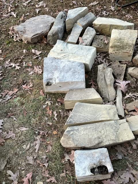 Evolution R255DCT - 10 In Concrete Saw (Aka Circular, Angle Grinder, Chop Saw, Cut Off, Demo, Disc Cutter, Power Cutter) - 15A Motor, No Gas - 4-1/16 In Cut - Incl Premium Diamond Blade customer photo 1