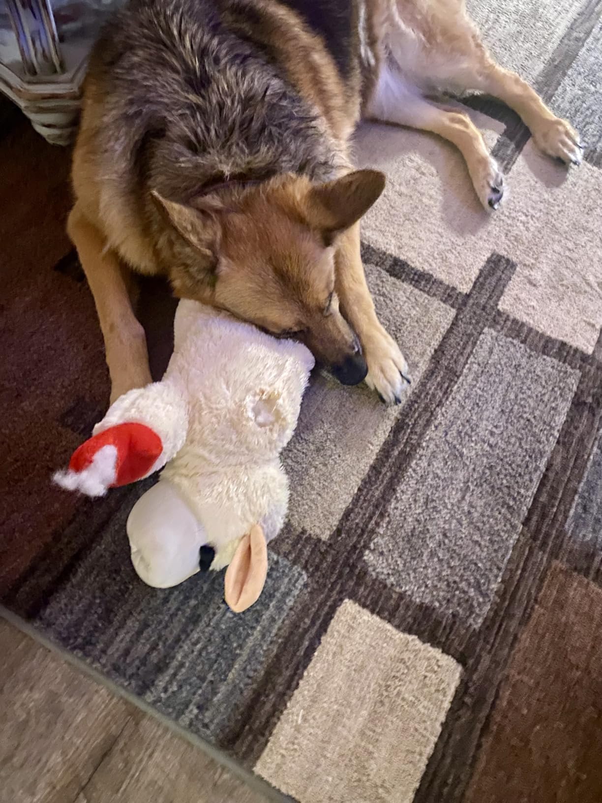 Buster's Organic Hemp Oil Large 60 Milliliters 2Pack 4Month Supply for Dogs Cats, Made in USA Omega Rich 3 6 and 9 Hip and Joint Health, Natural Relief, Calming customer photo 1