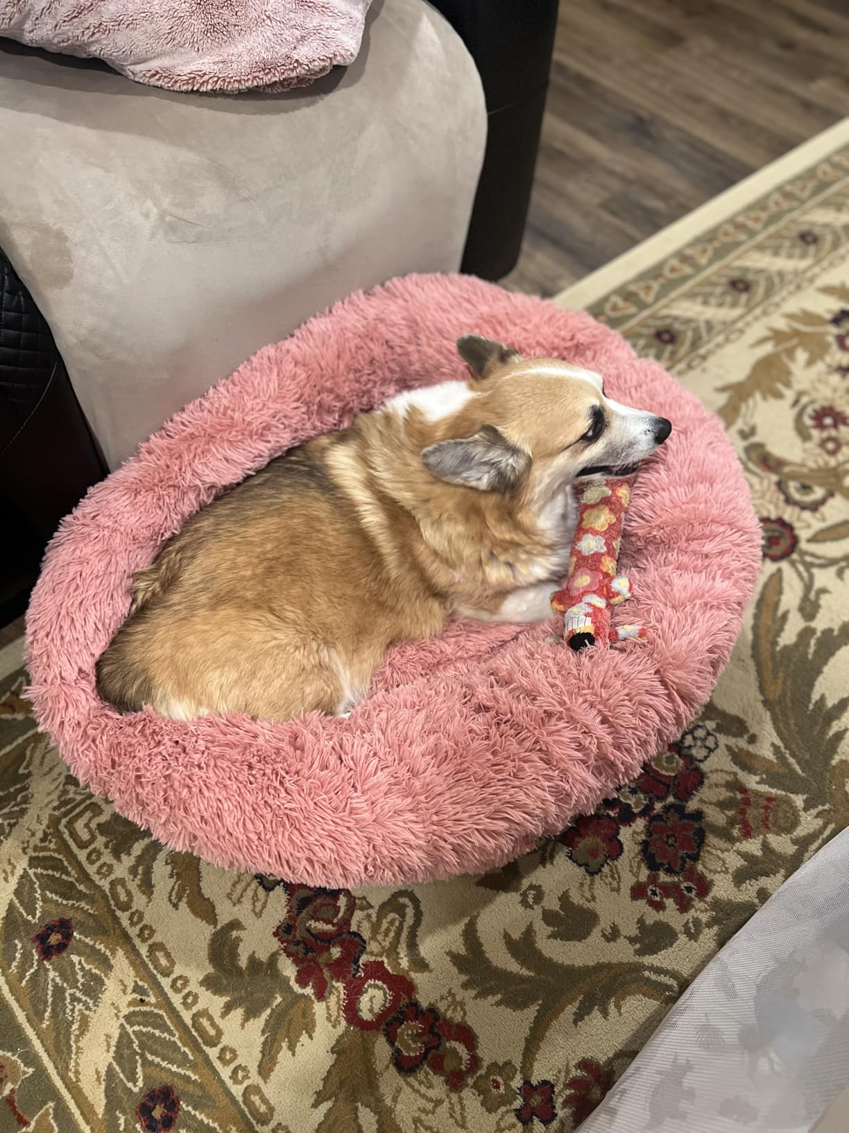 Bedsure Calming Dog Beds Large Sized Dog Donut Washable Pet Bed, 36in Camel | Oprah Daily Award, Fluffy Faux Fur Round Cuddler, Removable Washable Cover, Anti-Slip Bottom, Anti-Anxiety, Up to 80 Lbs customer photo 2