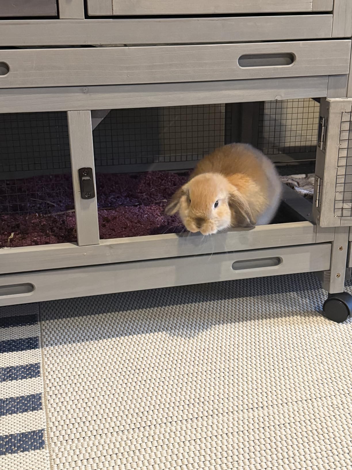 Bunny Cage Indoor and Outdoor Rabbit Hutch with Casters Waterproof Roof, Pull Out Tray from Back and Front 61.2