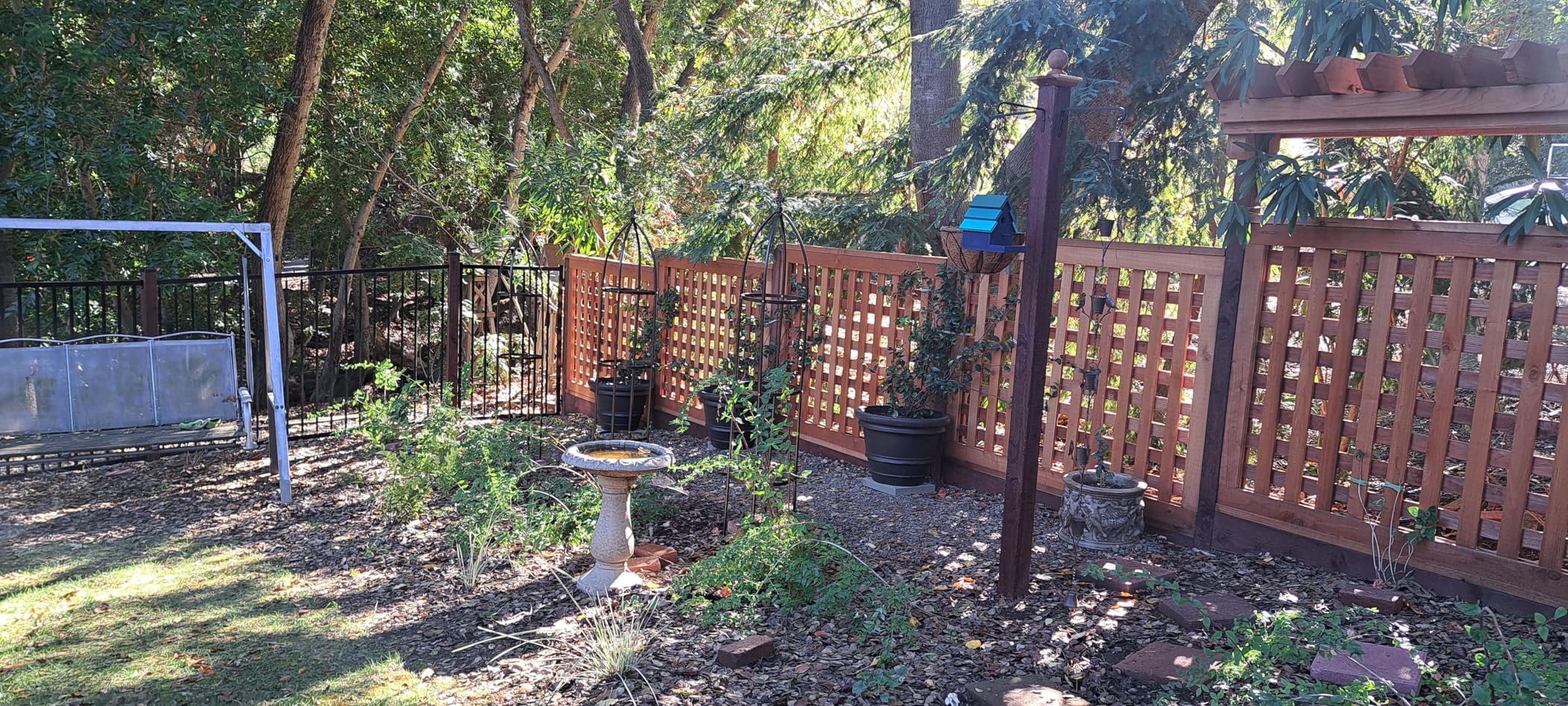 100% Metal Obelisk Garden Trellis 6.3 Feet Tall Sturdy Plant Support for Climbing Vines and Flowers Stands,1pc Upgrade (Bronze, Large) customer photo 1