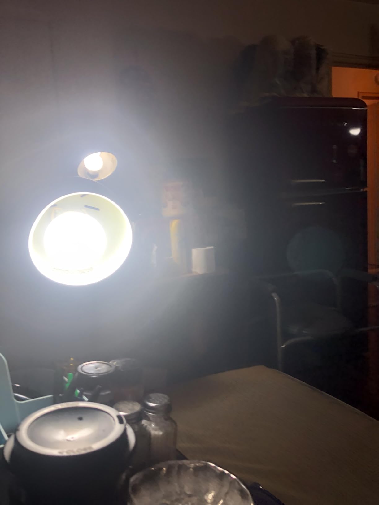 Full Spectrum Light Bulb, 6000K Natural Sunlight Bulbs, 9W 60W Equivalent LED Light Bulb, Natural Light Bulbs A19, E26/E27 LED Light Bulbs for Home, 3 Pack customer photo 2