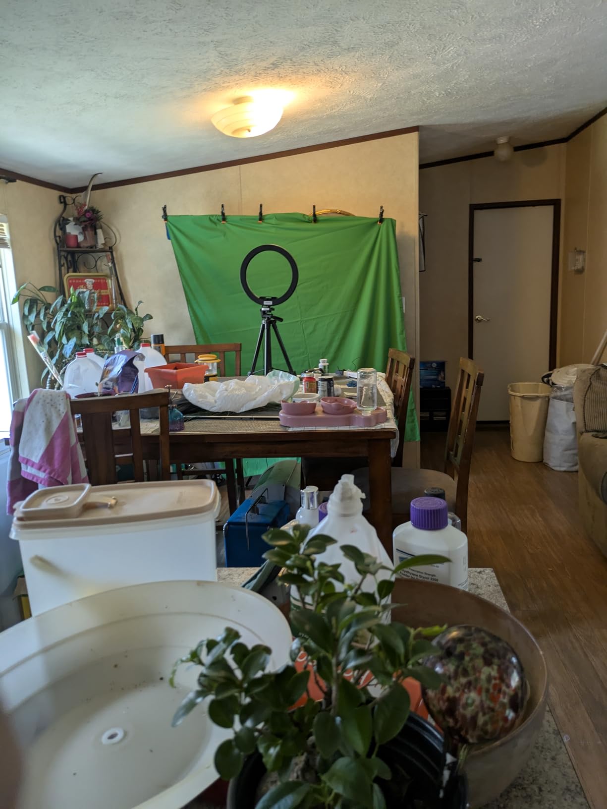 HEMMOTOP 7x5 ft Green Screen Stand Kit, 6.5x5 ft Green Screen Backdrop with Stand for Streaming, Gaming, Zoom customer photo 2