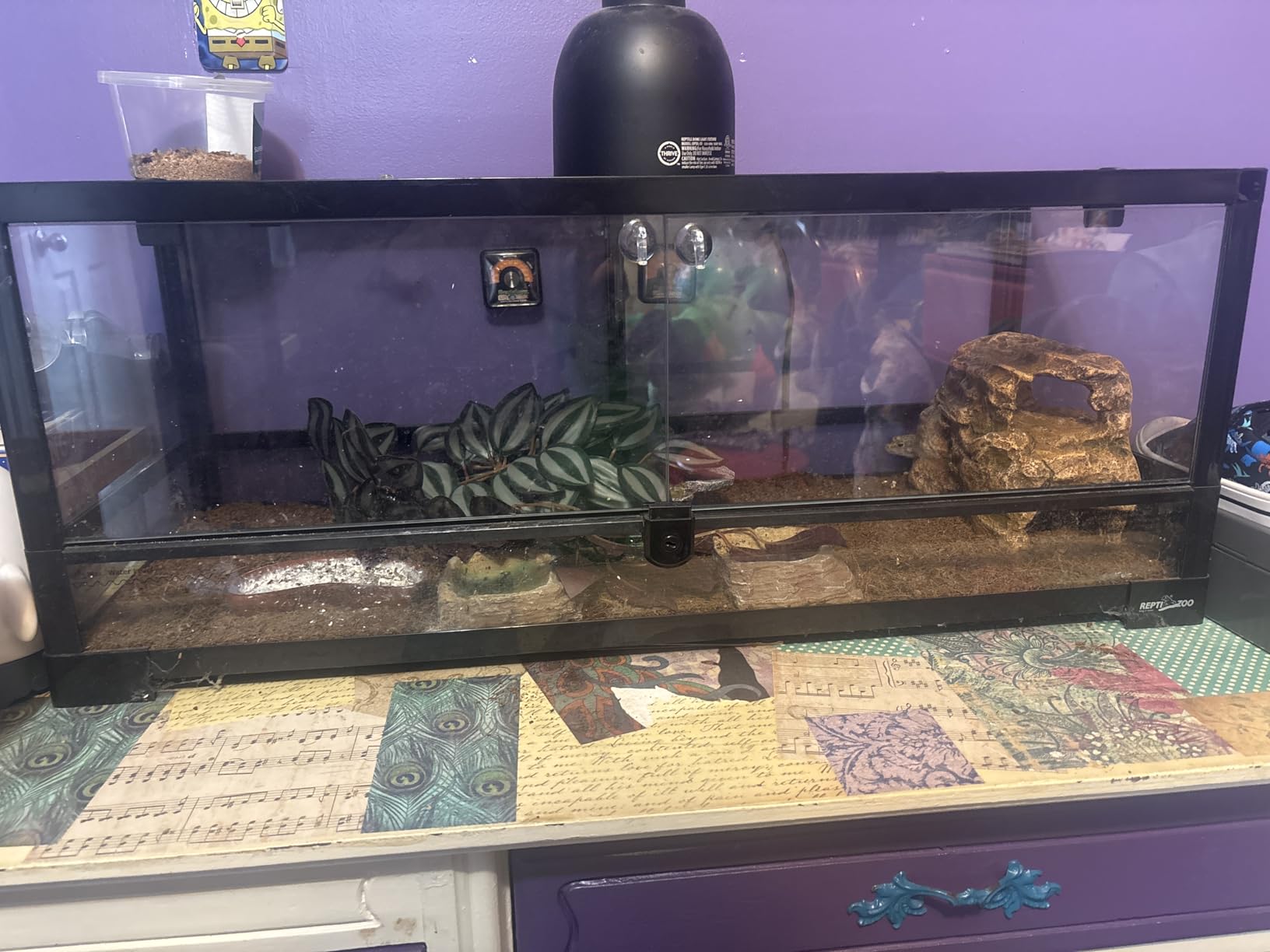 REPTI ZOO Glass Reptile Terrarium 20 Gallon, Front Opening Reptiles Tank 30