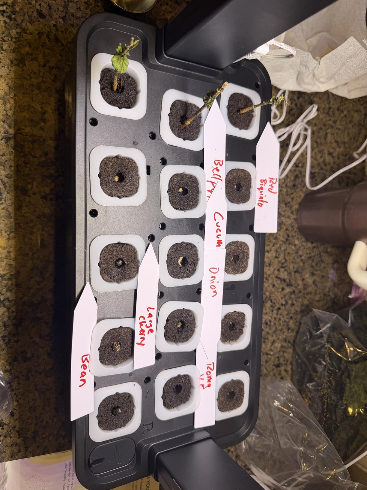 Gardeners Basics Survival Vegetable Seeds Garden Kit Over 16,000 Seeds Non-GMO and Heirloom, Great for Emergency Bugout Survival Gear 35 Varieties Seeds for Planting Vegetables 35 Free Plant Markers customer photo 2