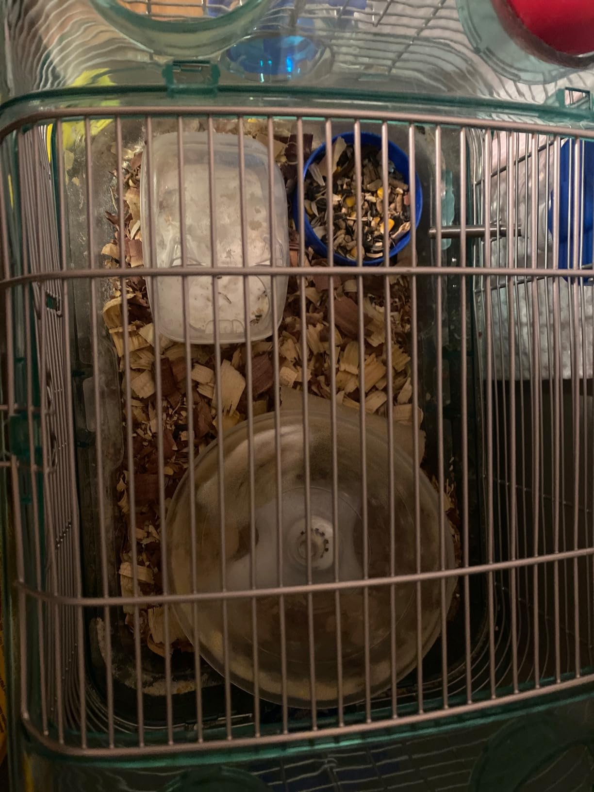 Hamster Flying Saucer Silent Running Exercise Wheel for Hamsters, Gerbils, Mice,Hedgehog and Other Small Pets Silent Running Wheel Hamster Wheel (White) customer photo 2