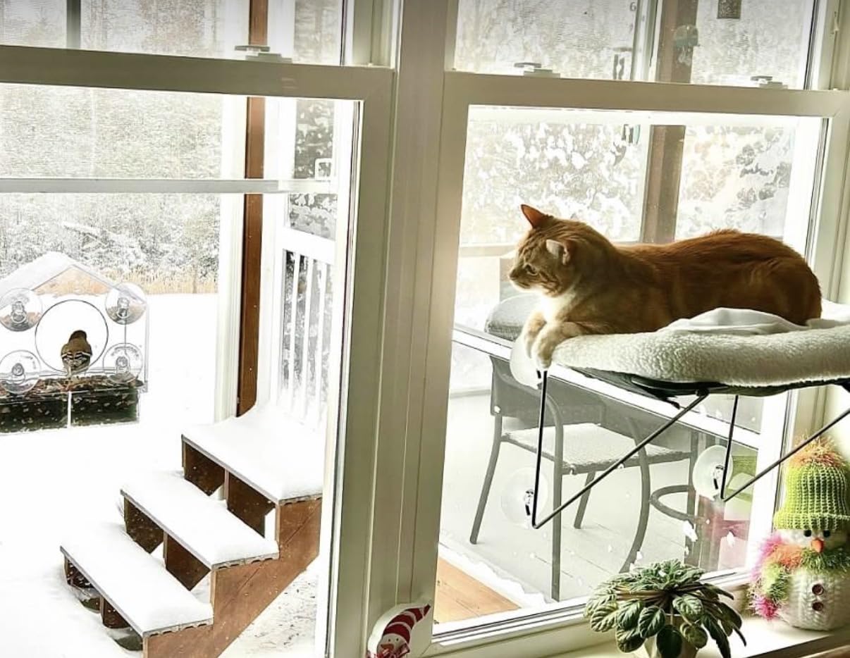 Zakkart Cat Window Perch - 100% Metal Supported from Below - Comes with Warm Spacious Pet Bed - Cat Window Hammock for Large Cats & Kittens - for Sunbathing, Napping & Overlooking (White) customer photo 1