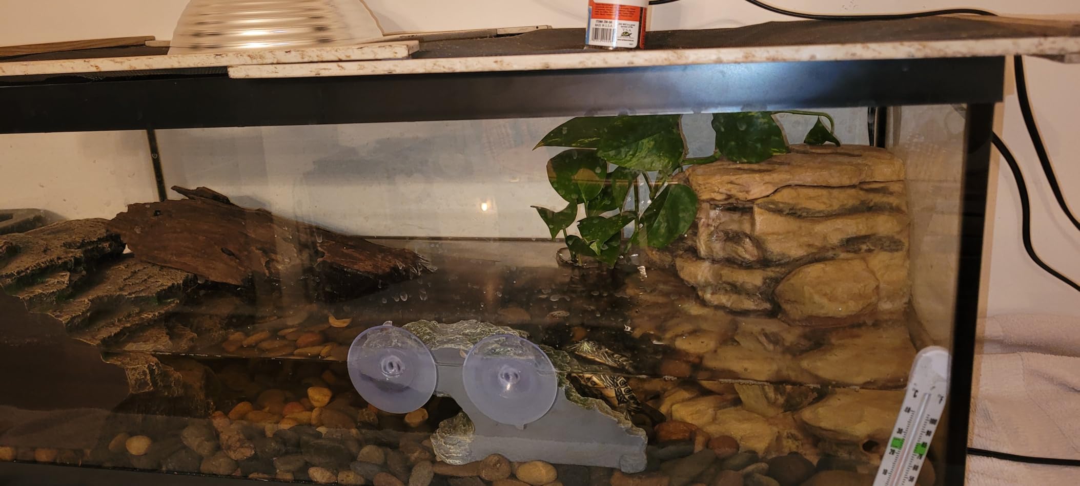 kathson Turtle Basking Platform Baby Tortoise Climbing Ramp Shale Reptiles Dock Resting Terrace Stone Aquarium Ornament Rock Landscaping Decoration for Frogs Newts (Medium Size:8.2