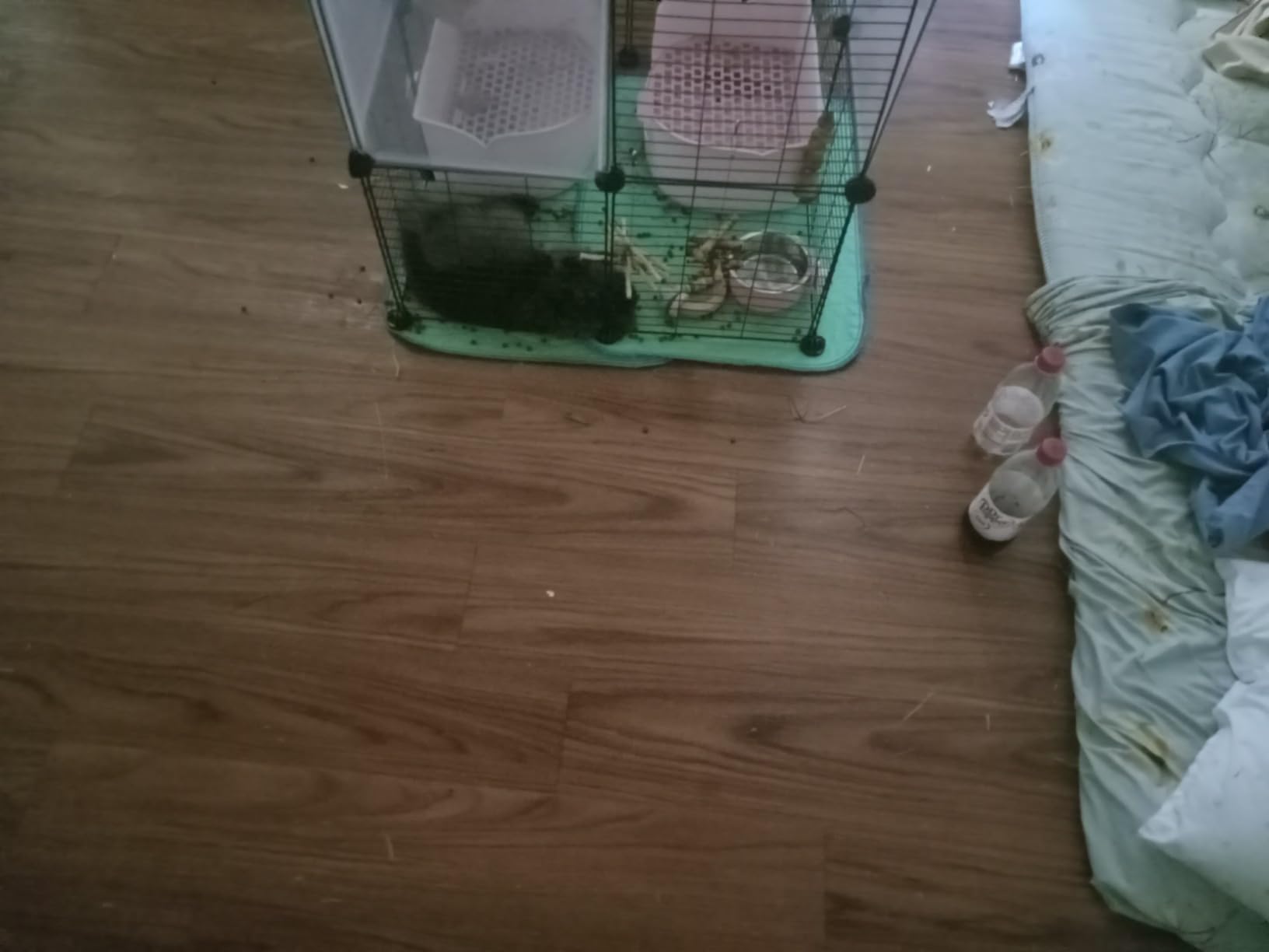 IMPROVIA Washable Underpads, 34