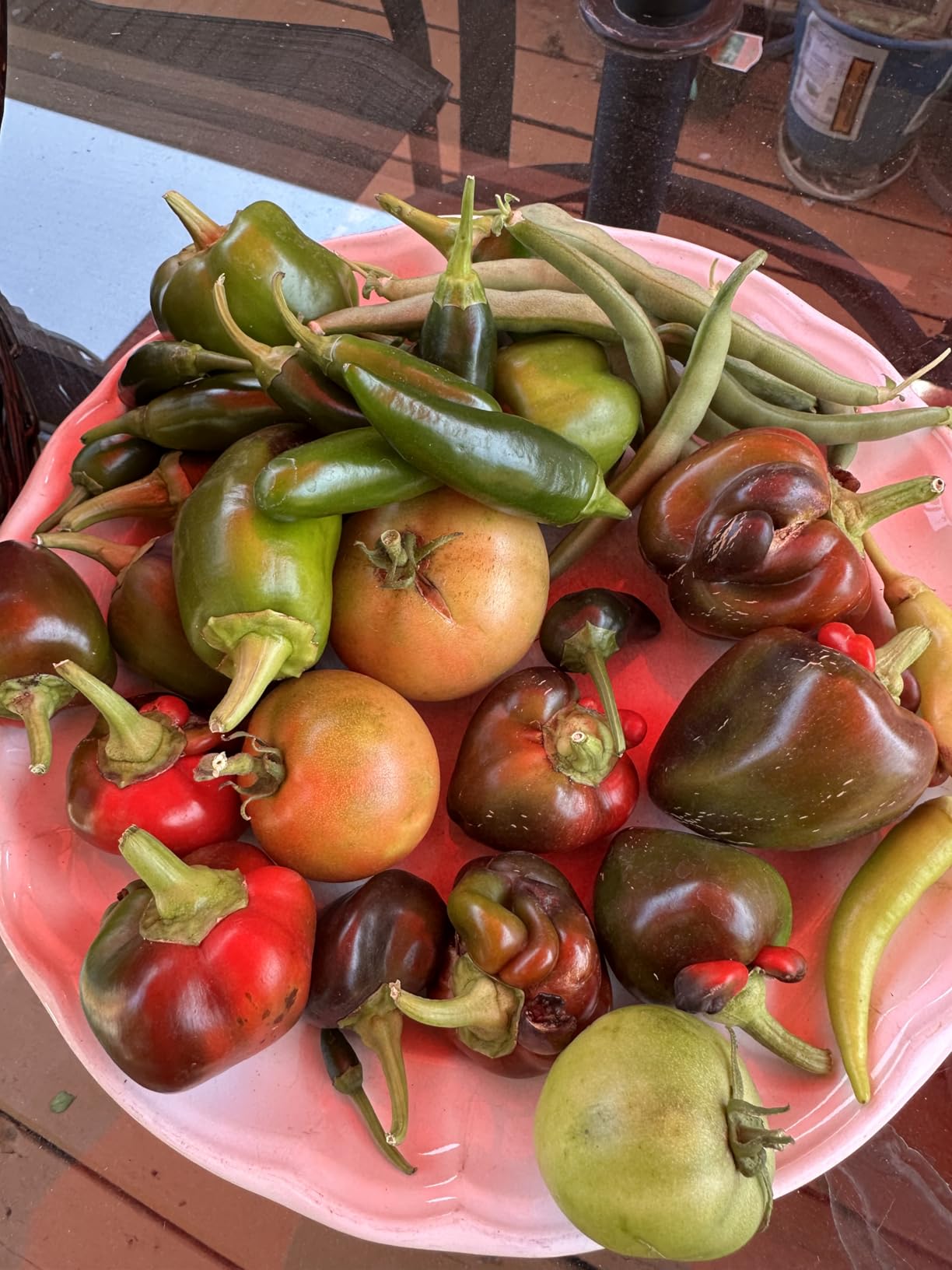 Home Garden Vegetable Seeds 30 Variety Pack - Heirloom Seed Vault Kit for Planting Non-GMO Vegetables, Herbs, Fruit - Emergency Preparedness Survival Food Grow Kit - Survival Garden Seeds (18,500+) customer photo 1