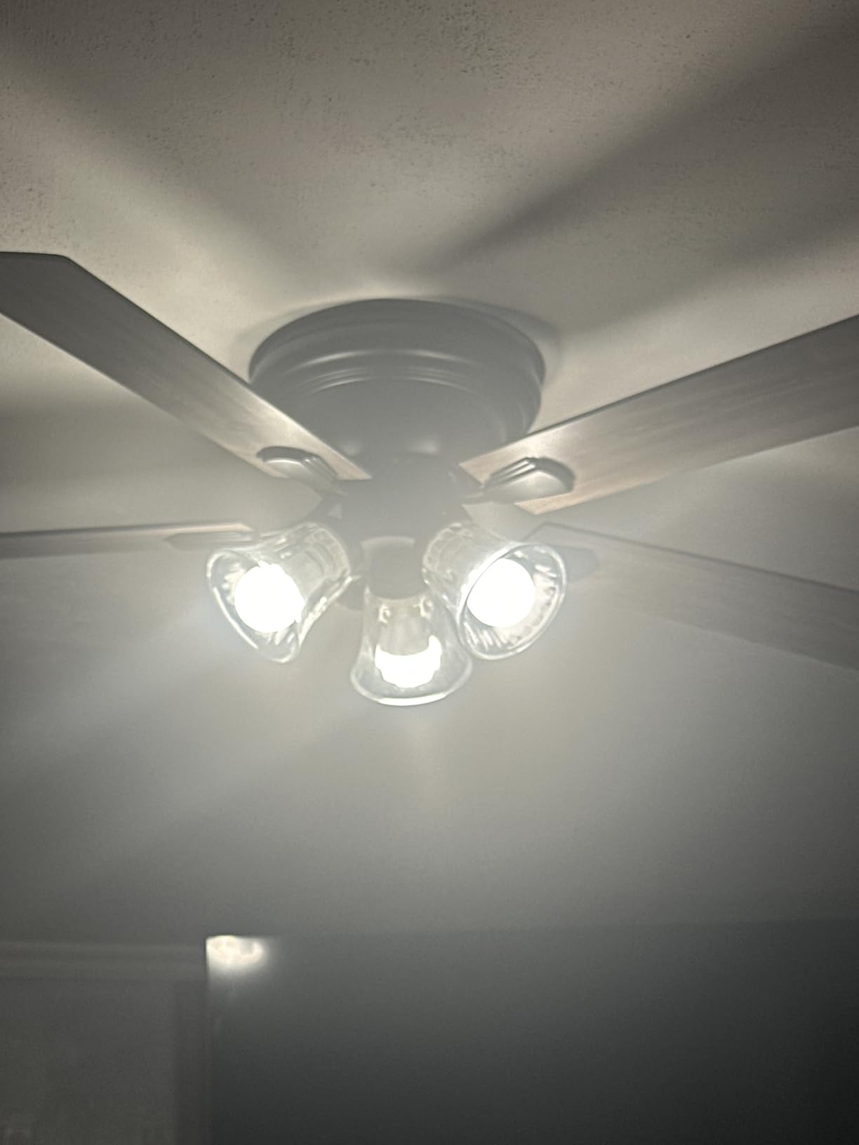 Kasa Smart Light Bulbs, Full Color Changing Dimmable Smart WiFi Bulbs Compatible with Alexa and Google Home, A19, 9W 800 Lumens, 2.4Ghz only, No Hub Required, 4 Count (Pack of 1), Multicolor (KL125P4) customer photo 1