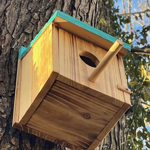 Wood Bird Houses for Outside with Pole Wooden Bird House for Finch Bluebird Cardinals Hanging Birdhouse Clearance Garden Country Cottages customer photo 2