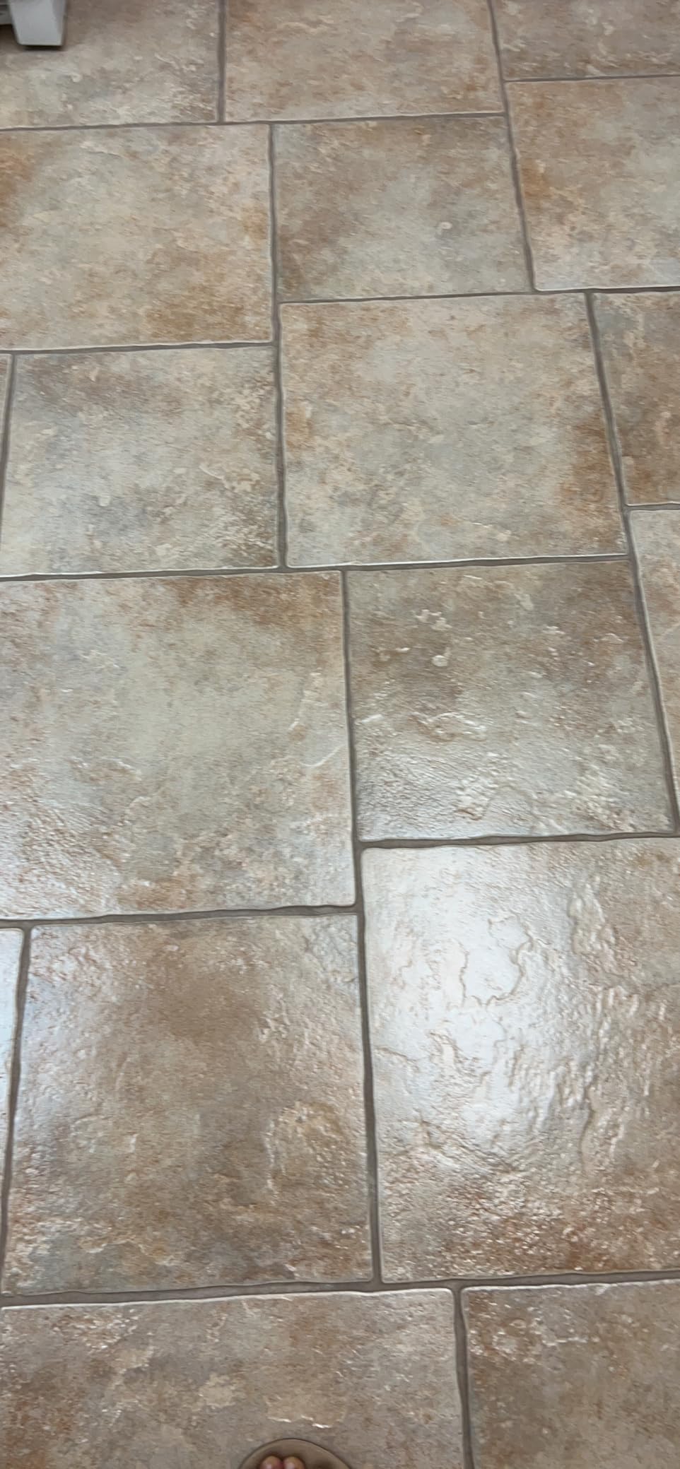 Prolux Core Heavy Duty 15 inch Floor Buffer Scrubber and Polisher Cleaning Machine - All floor surfaces customer photo 2