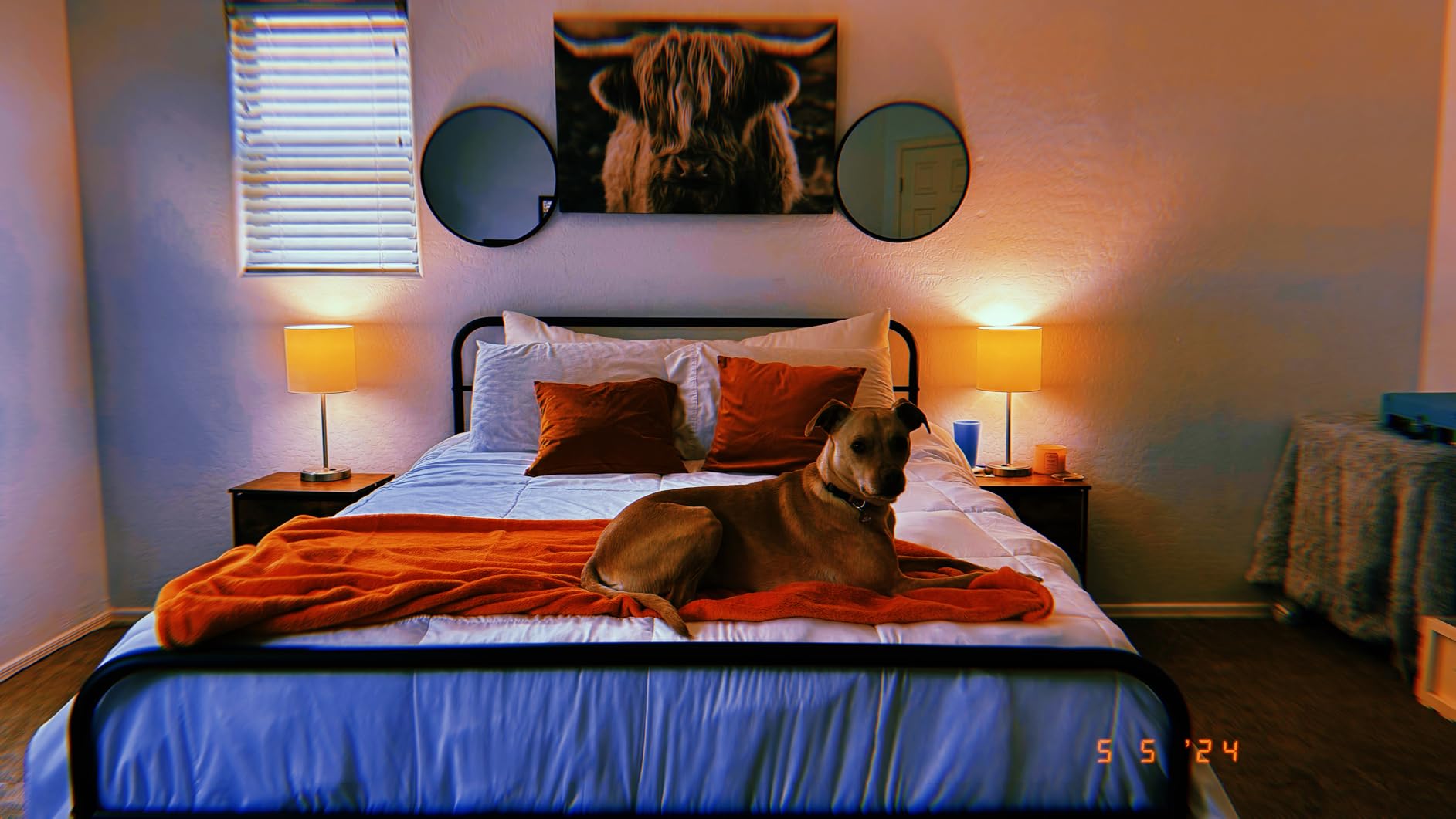 Yaheetech Classic Metal Platform Bed Frame Mattress Foundation with Victorian Style Iron-Art Headboard/Footboard/Under Bed Storage/No Box Spring Needed/Queen Size Black customer photo 2