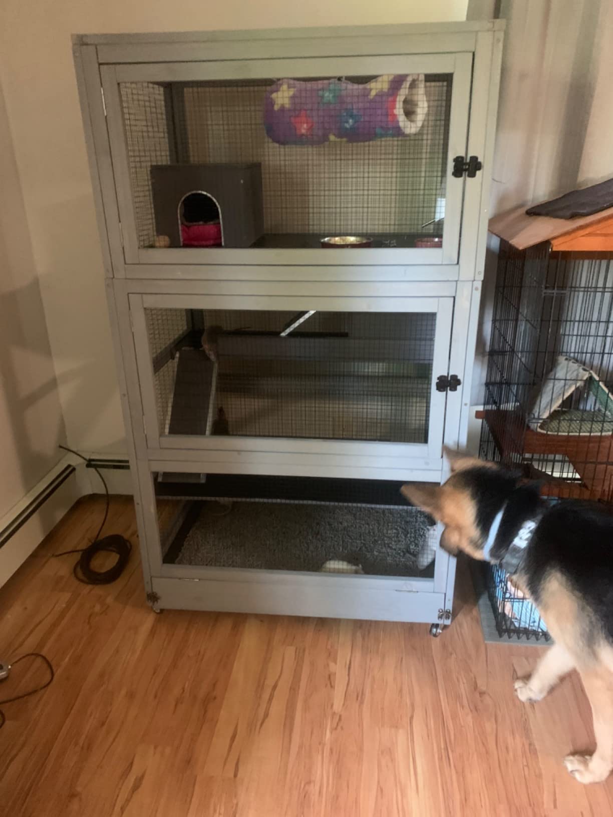 Aivituvin Ferret Cage Large Chinchilla Cage Rat Habitat 5 Levels for Chinchilla,Lizard,Squirrel, Chameleon,Gerbil and Other Small Animal,Prevent Escape customer photo 1