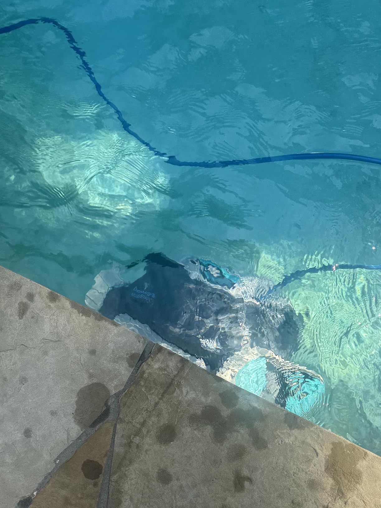 Dolphin Advantage Ultra Automatic Robotic Pool Vacuum Cleaner, Wall Climbing, Waterline Scrubber Brush, Top Load Filter, Ideal for In-Ground Pool Types Upto 50 FT in Length customer photo 1