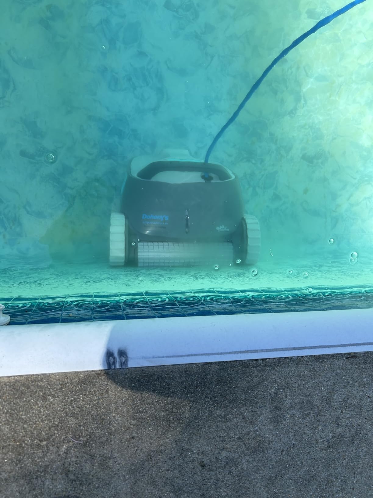 Dolphin Advantage Ultra Automatic Robotic Pool Vacuum Cleaner, Wall Climbing, Waterline Scrubber Brush, Top Load Filter, Ideal for In-Ground Pool Types Upto 50 FT in Length customer photo 2