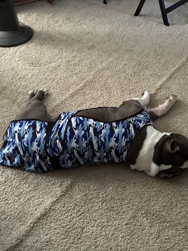 Dog Cooling Vest - 2-Layer Cooling with Soft Microfiber Fabric - Lightweight, Adjustable and Comfortable - UV Protection for Small to Large Dogs - Relief in Hot Weather (Green, Small) customer photo 1