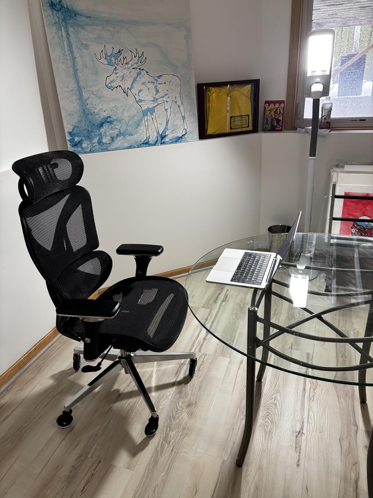 Oline ErgoPro Ergonomic Office Chair, Rolling Desk Chair with 4D Adjustable Armrest, 3D Lumbar Support, Blade Wheels, Mesh Computer Gaming Executive Swivel Chairs Chair customer photo 1