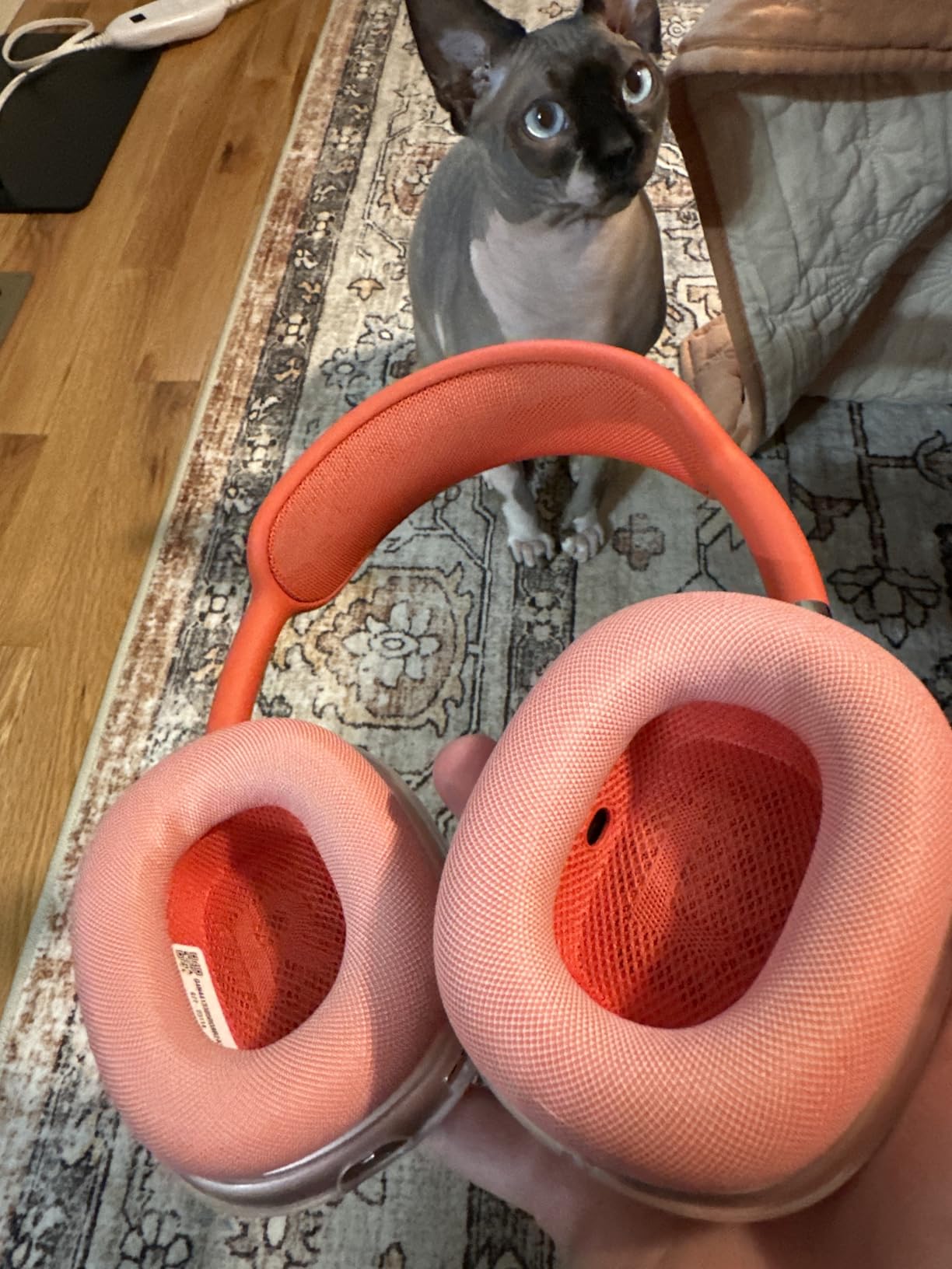 Apple AirPods Max - Space Gray (Renewed) customer photo 2