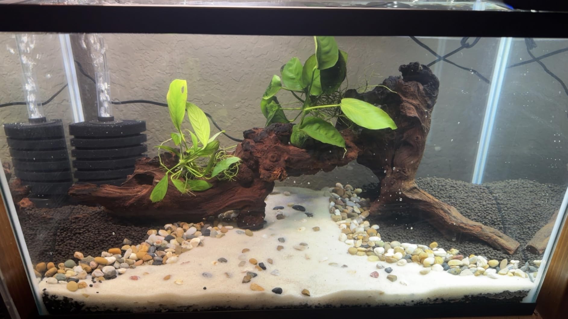 majoywoo Natural Coral Driftwood for Aquarium Decor Fish Tank Decorations, Assorted Driftwood Branch 6-10