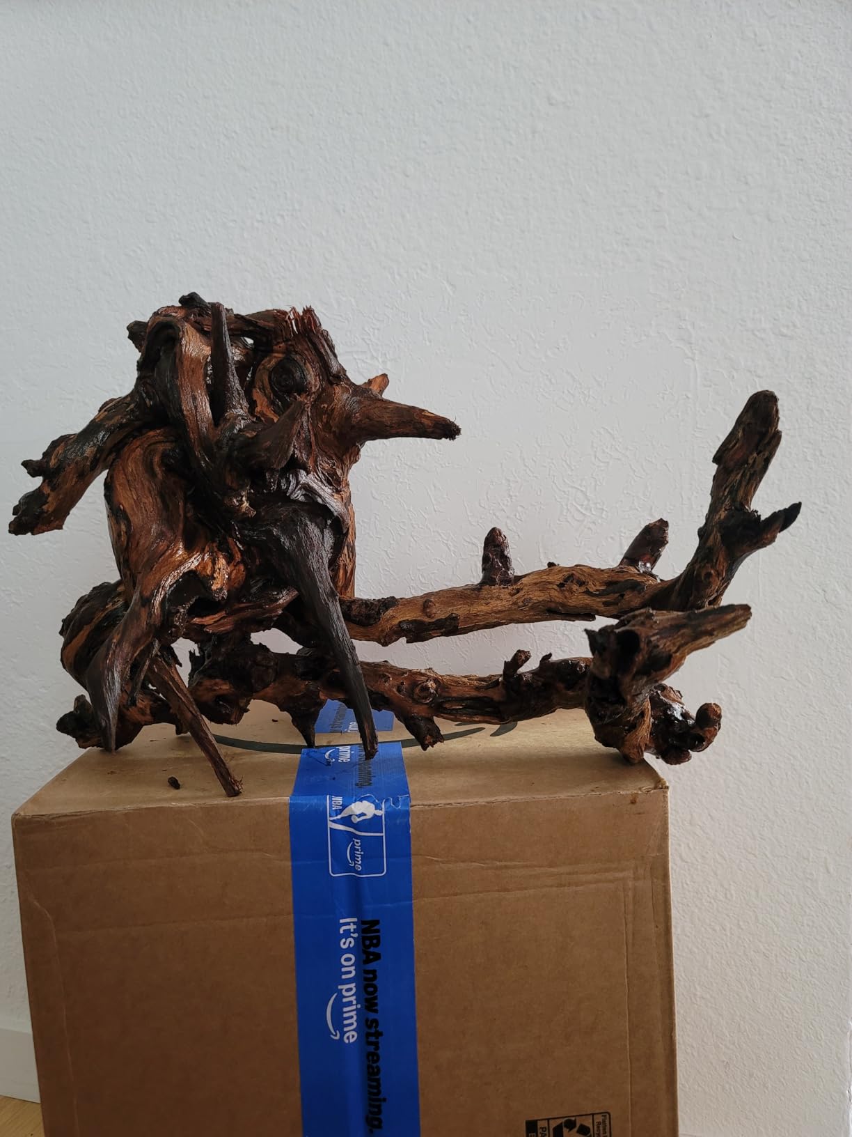 majoywoo Natural Coral Driftwood for Aquarium Decor Fish Tank Decorations, Assorted Driftwood Branch 6-10