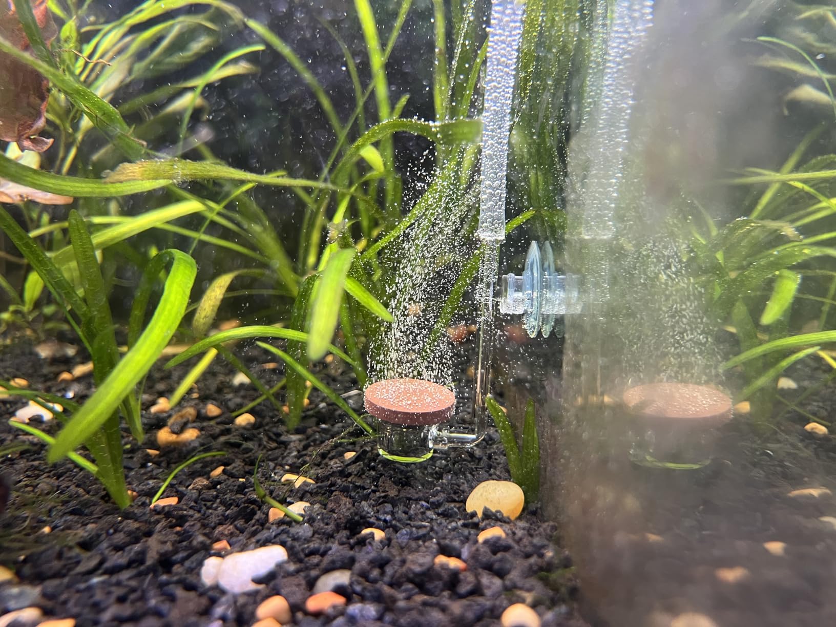 TWINSTAR CO2 Diffuser | Freshwater Aquariums up to 120 gallons | Ultra Clear Acrylic - Made in South Korea | Extremely Fine Pearls | More Porous Membrane (S-15mm) customer photo 1