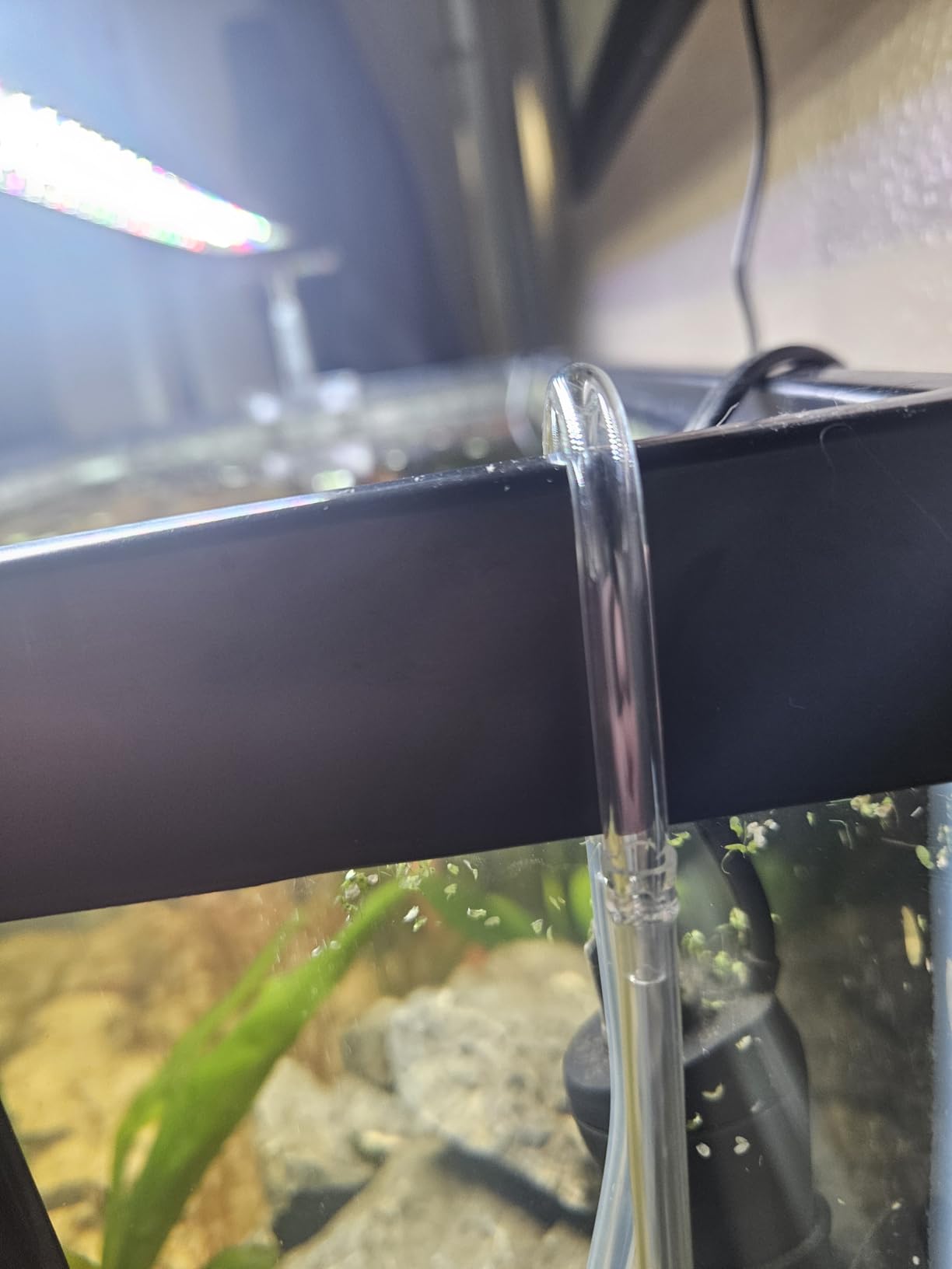 Aquarium Glass CO2 Diffuser Atomizer with U Tube Check Valve Suction Cup Premium Version customer photo 1