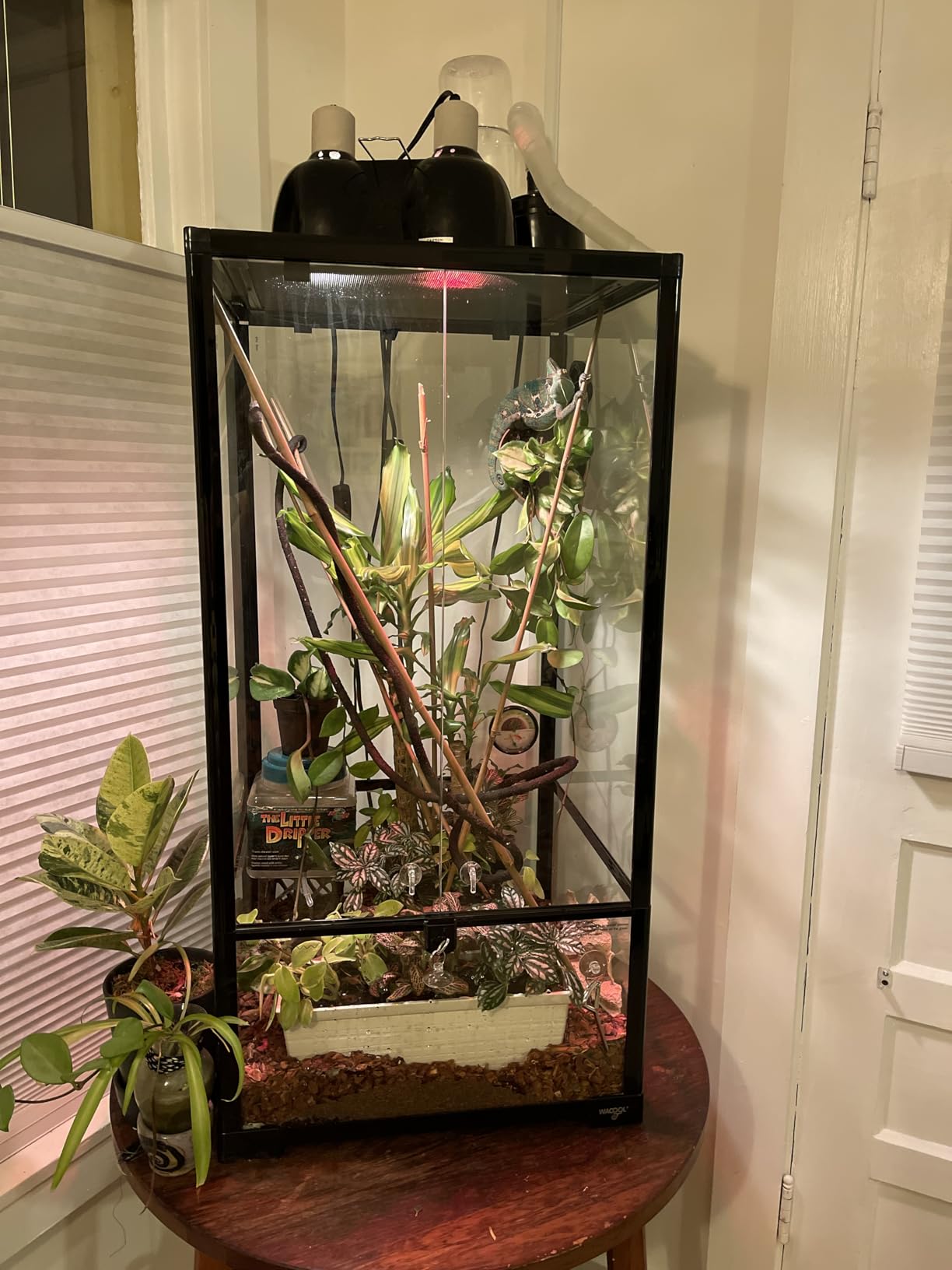 WACOOL 50 Gallon Reptile Tank, Front Opening Chameleon Cage 18