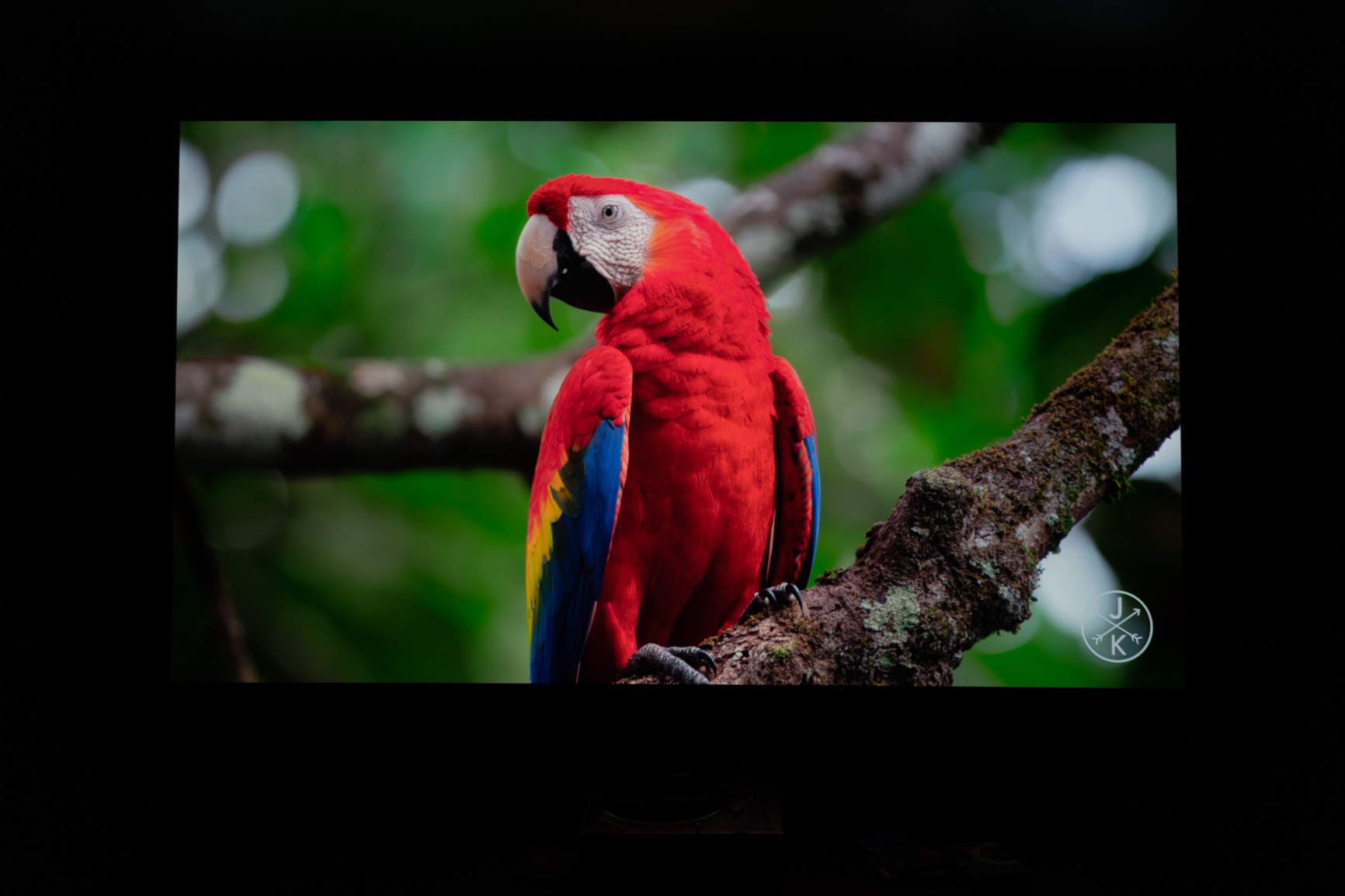 Sony VPL-VW325ES 4K HDR Home Theater Projector customer photo 2