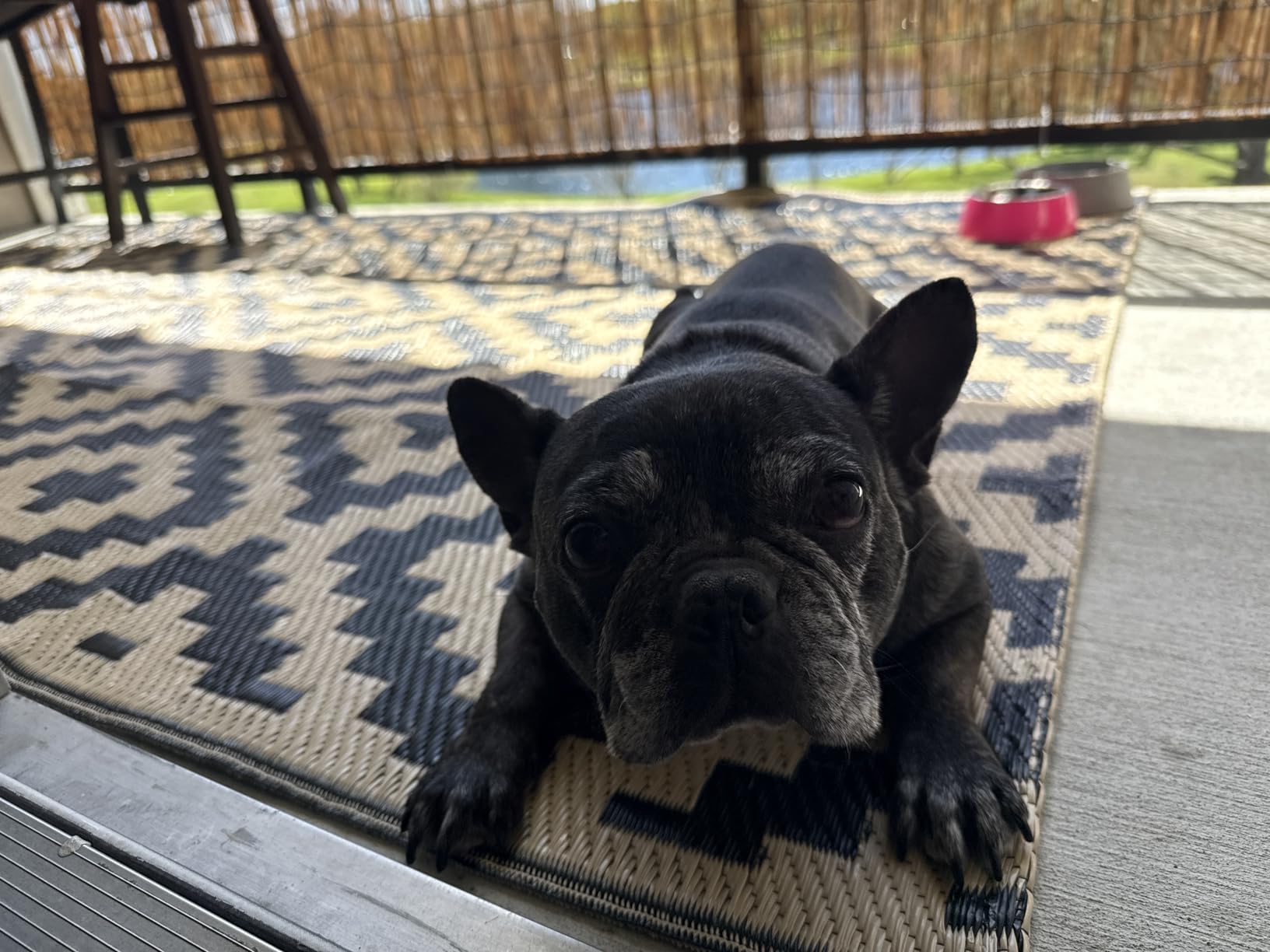 SAND MINE Waterproof Outdoor Rug 5x8 ft, Plastic Reversible Rug, Modern Area Rug, Large Floor Mat for Outdoors, RV, Patio, Backyard, Deck, Picnic, Beach, Camping, Black & Beige customer photo 2