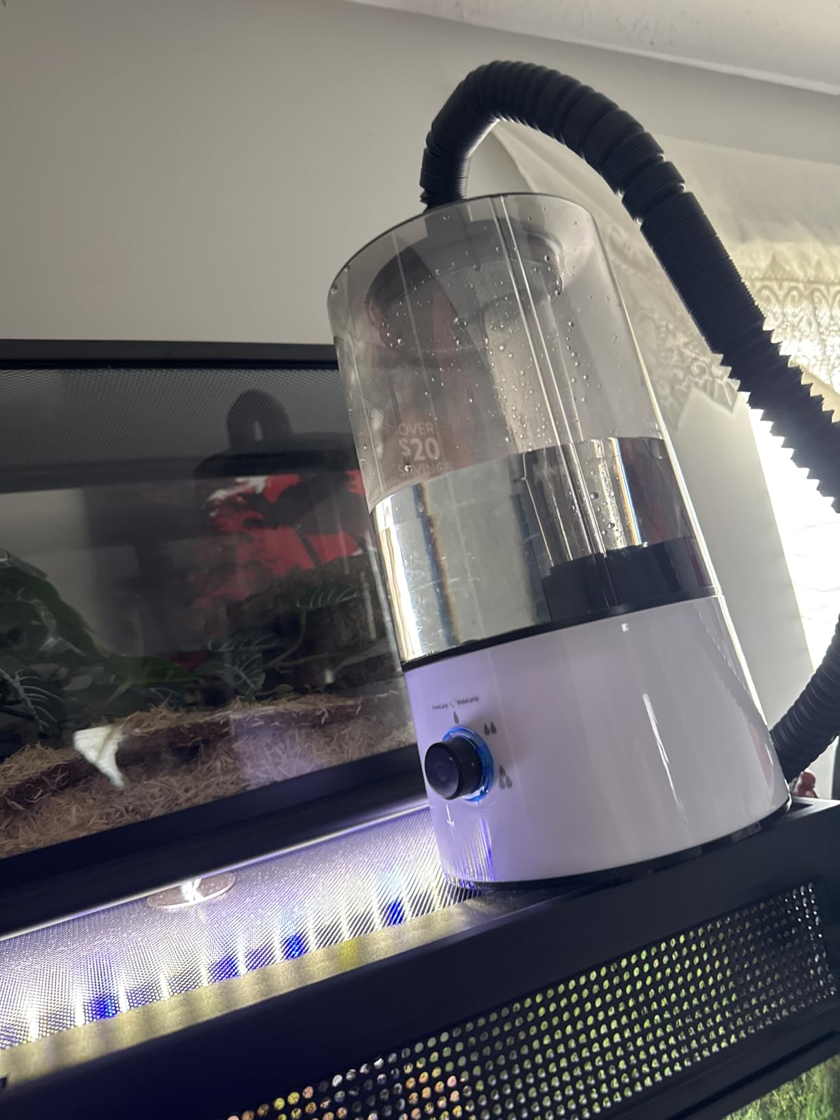 Dreyoo Reptile Humidifier Fogger, 4L Cool Mist Fog Mister with Tube for Tortoise Habitat Chameleon Snake Amphibians, Compatible with All Terrariums, Cages and Enclosures customer photo 1