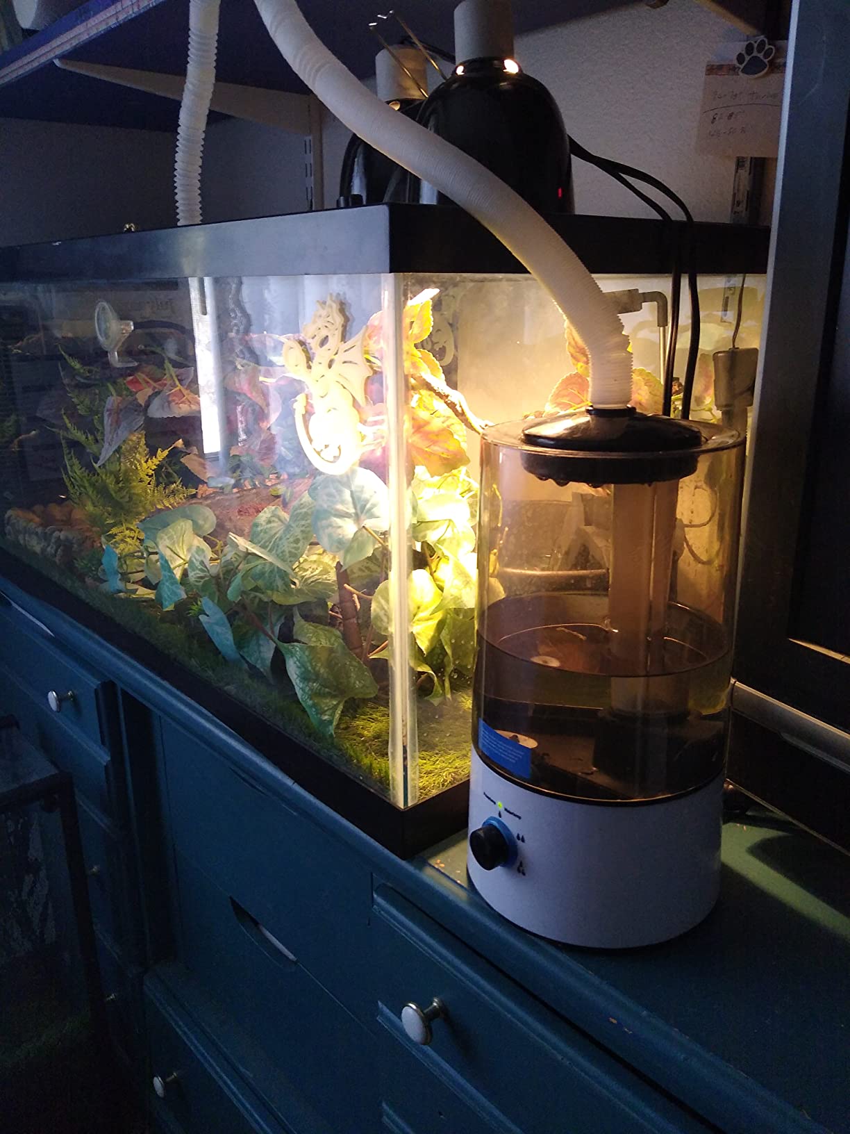 Dreyoo Reptile Humidifier Fogger, 4L Cool Mist Fog Mister with Tube for Tortoise Habitat Chameleon Snake Amphibians, Compatible with All Terrariums, Cages and Enclosures customer photo 2