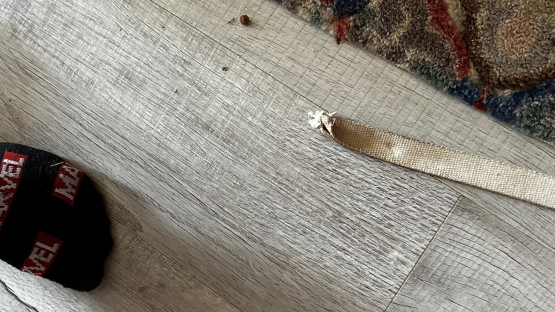 Pawsitive Hemp Leash - 5ft Long, with a Padded Handle for Extra Comfort. Made from Durable, Machine Washable Hemp; Natural customer photo 1