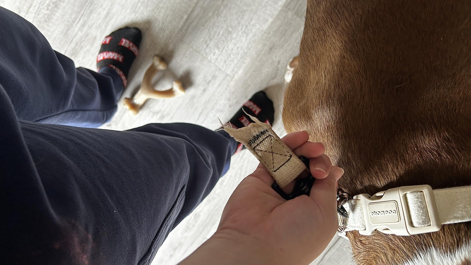 Pawsitive Hemp Leash - 5ft Long, with a Padded Handle for Extra Comfort. Made from Durable, Machine Washable Hemp; Natural customer photo 2