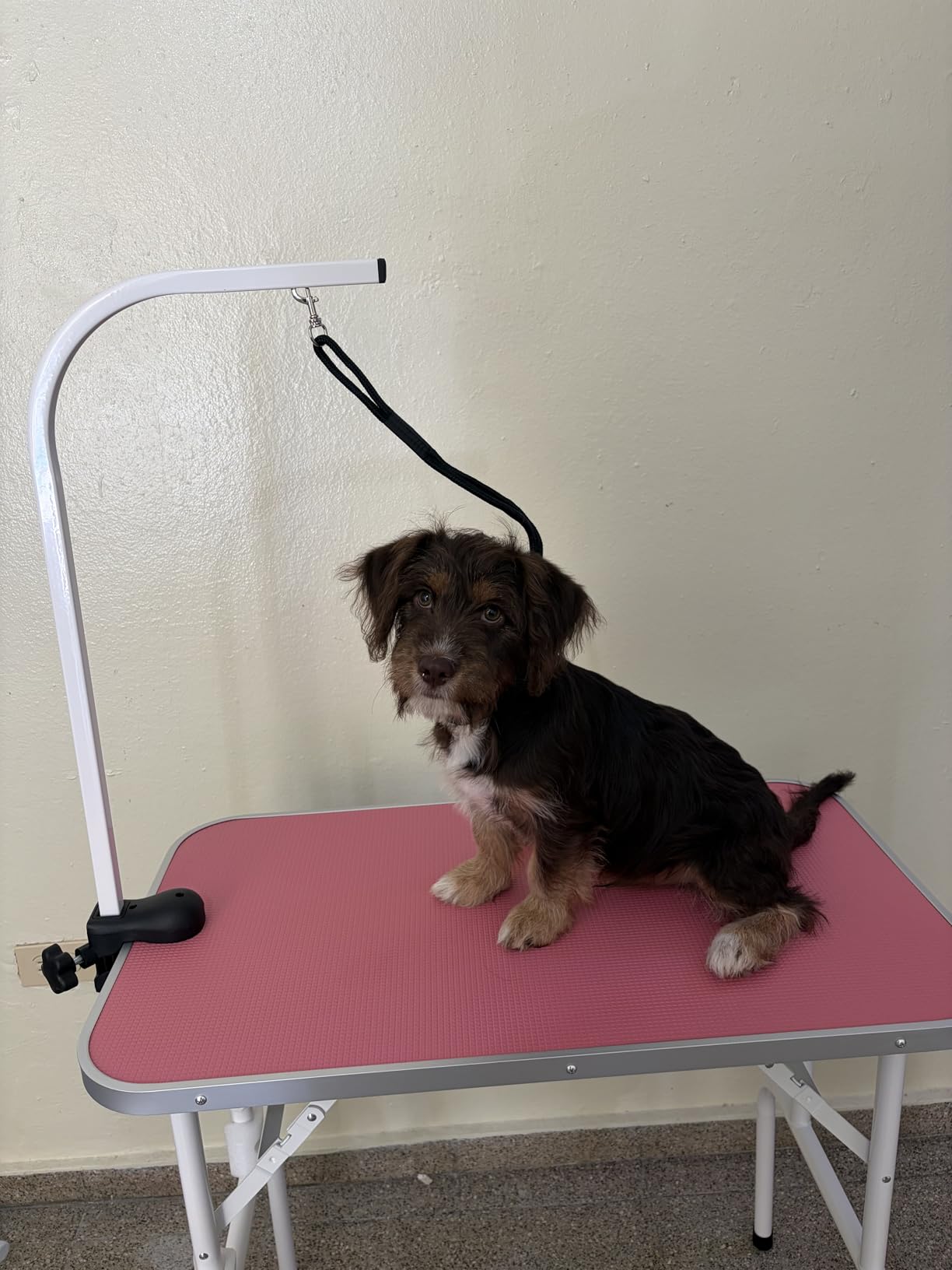 LEIBOU Pet Dog Grooming Table Foldable Grooming Table Heavy Duty Iron Frame with Arm & Noose for Dog Cat Pet Grooming (32'', Pink) customer photo 1