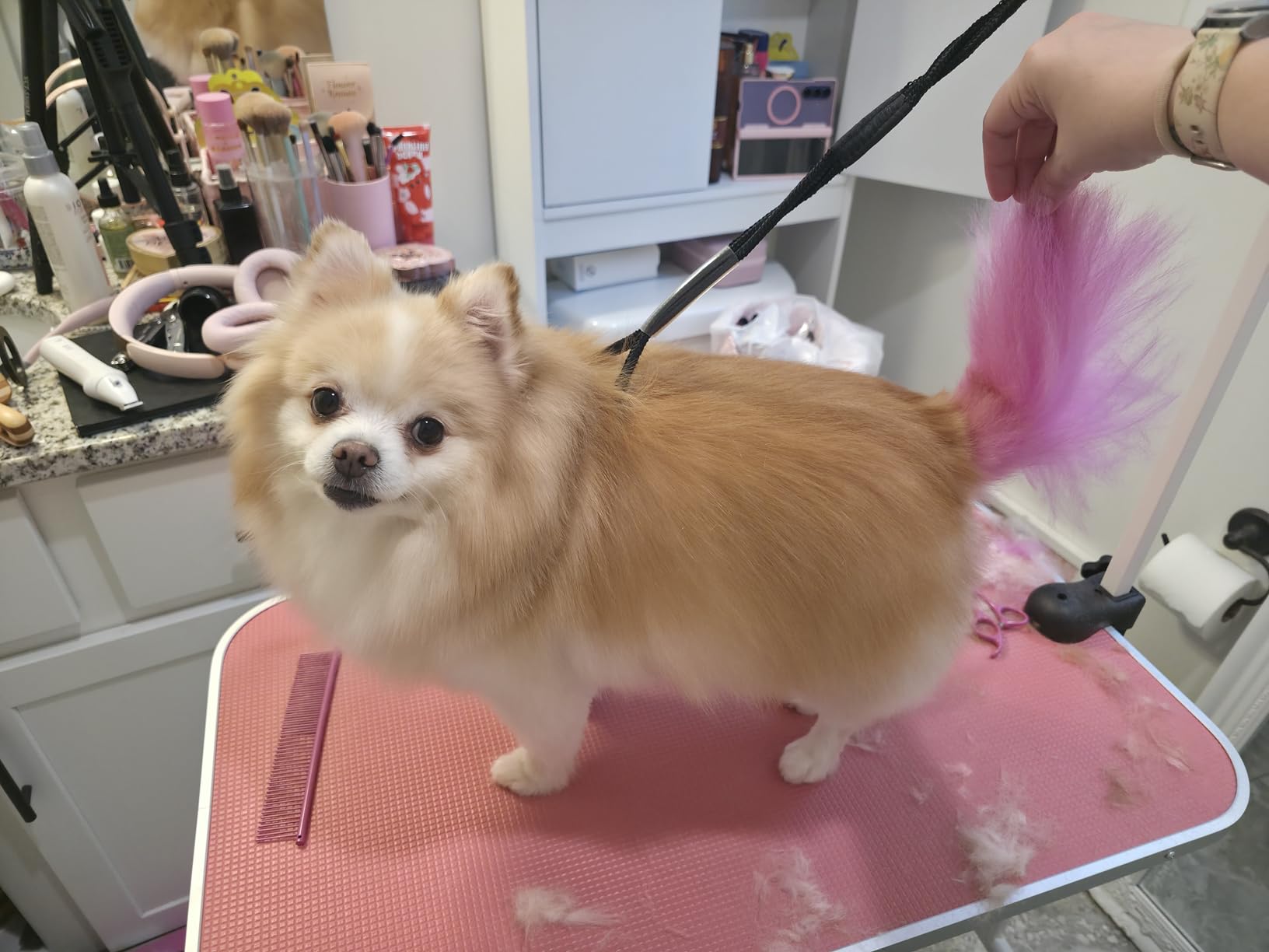 LEIBOU Pet Dog Grooming Table Foldable Grooming Table Heavy Duty Iron Frame with Arm & Noose for Dog Cat Pet Grooming (32'', Pink) customer photo 2