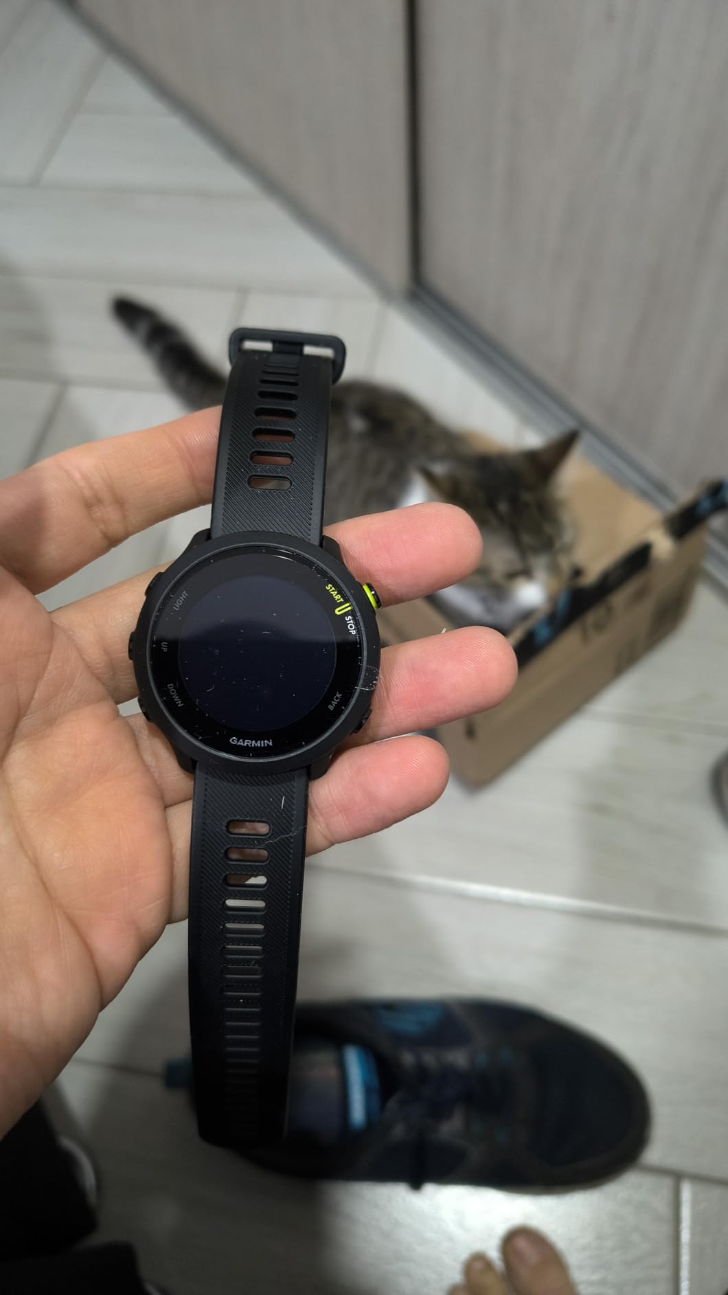 Forerunner 55, GPS Running Watch with Daily Suggested Workouts, Up to 2 Weeks of Battery Life, White customer photo 2