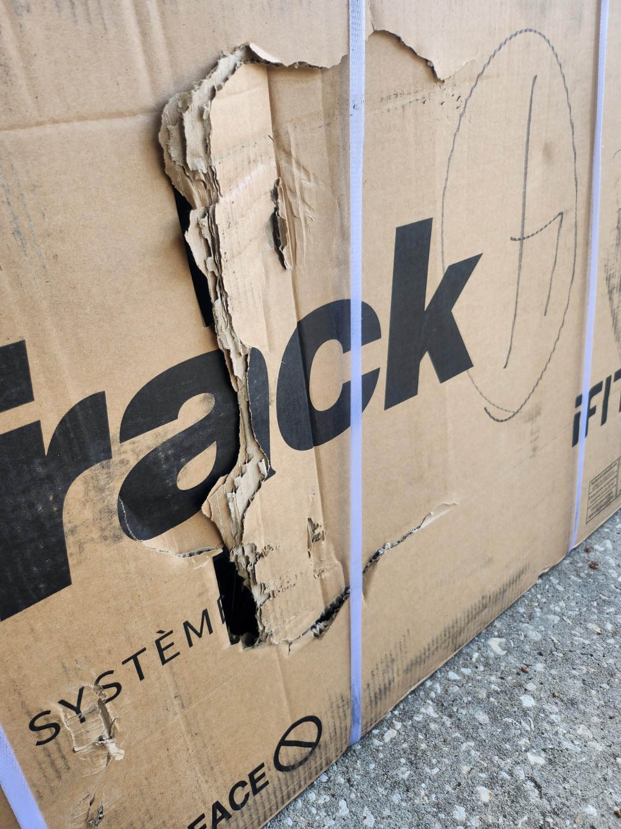 Nordictrack Vault Complete Reflective Trainer with Fitness Accessories, Pivoting Mirror and Touchscreen, and 30-Day iFIT Family Membership customer photo 1