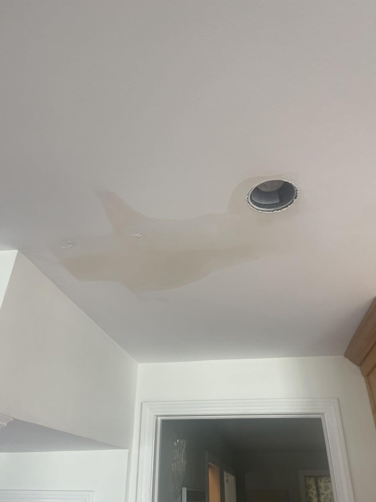 Watts A2C-SC-WB Series Intelliflow 1/2