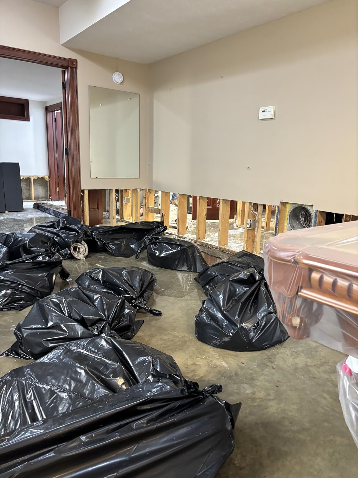 The Basement Watchdog Combo Preassembled Primary & Battery Backup Sump Pump System w/Monitoring Controller (CITE-33) customer photo 1