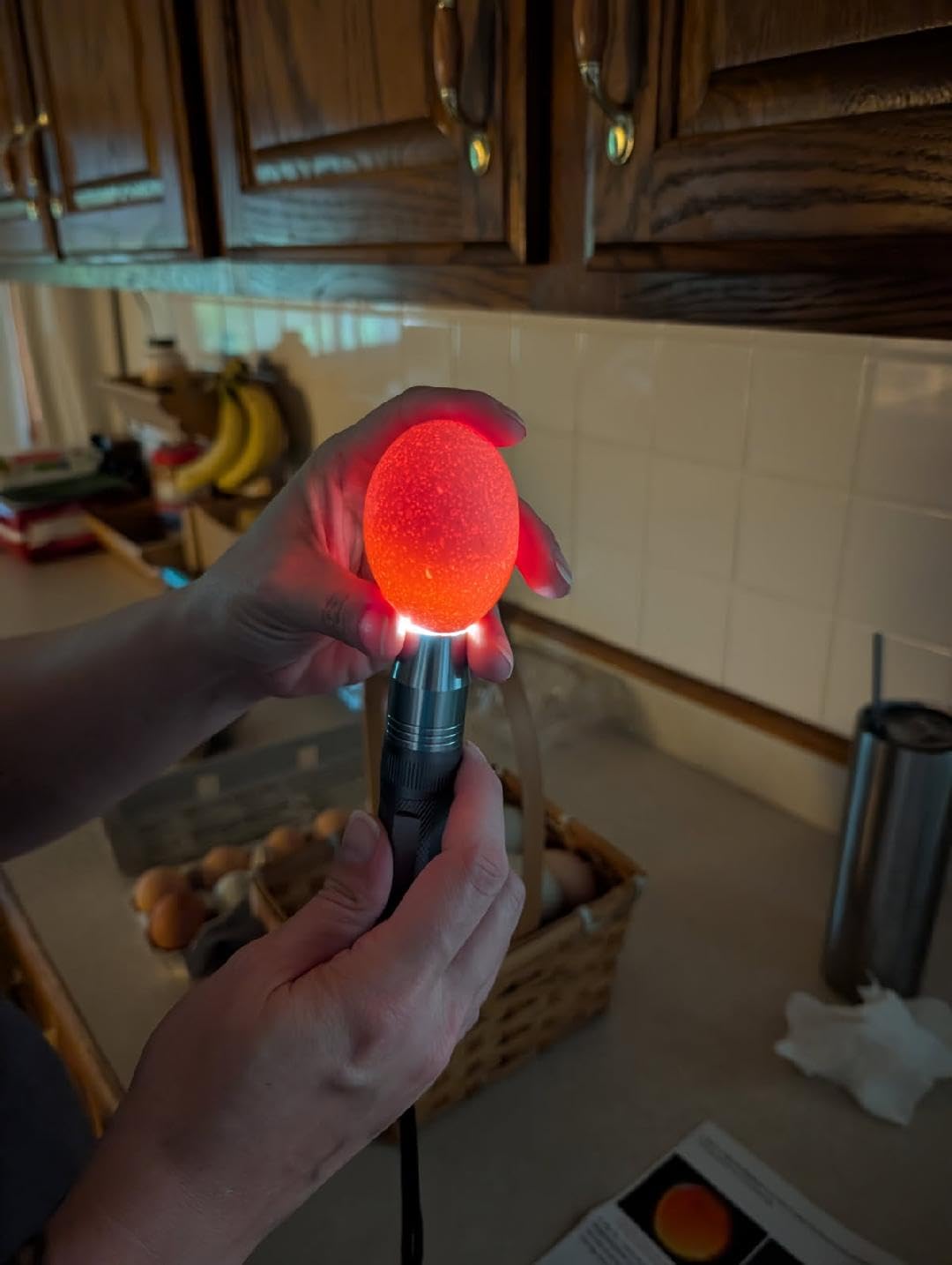 Egg Candler, Egg Incubator Light【2026 Upgraded Charger】 Egg Candler Candling Checker Light for Chicken Quail Dark Canary Pigeon All Eggs Battery Powered(Include Egg Candling Guide) customer photo 1