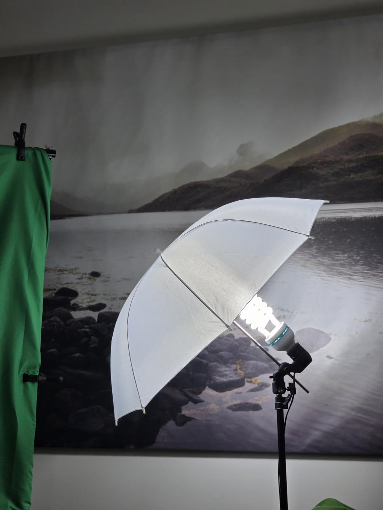 Photography Lighting, 6.5ft x 10ft Backdrop Stand and Umbrellas Continuous Lighting Kit for Photo Studio Product, Portrait and Video Shoot Photography customer photo 1