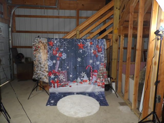 Photography Lighting, 6.5ft x 10ft Backdrop Stand and Umbrellas Continuous Lighting Kit for Photo Studio Product, Portrait and Video Shoot Photography customer photo 2