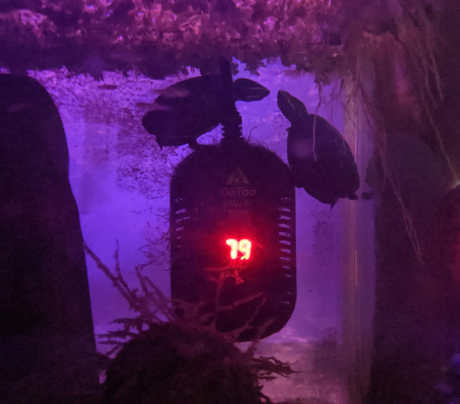 Aqua Natural Midnight Pearl 10lb Gravel Substrate for aquascaping, Aquariums, vivariums and terrariums 2-4mm, Brown, Small customer photo 2